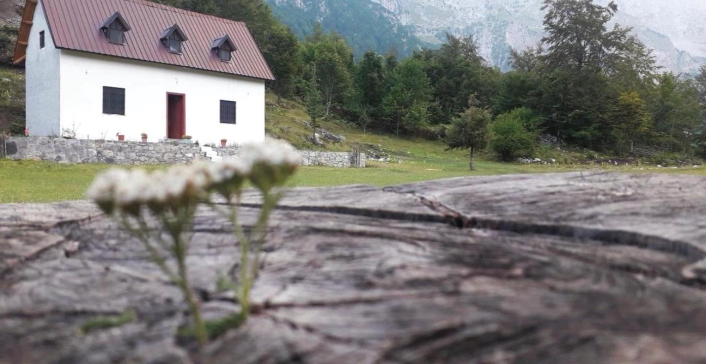 Guesthouse Freskia