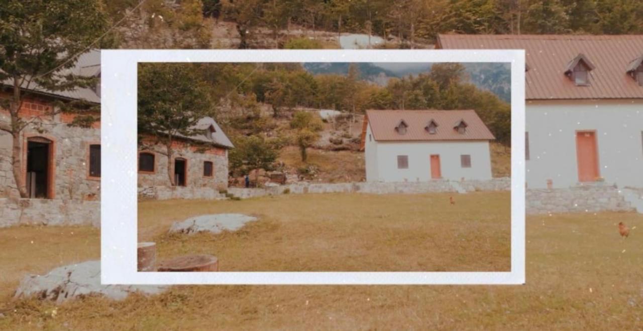 Guesthouse Freskia