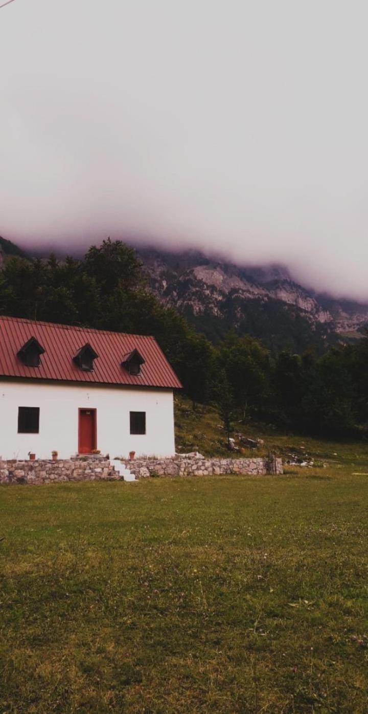 Guesthouse Freskia