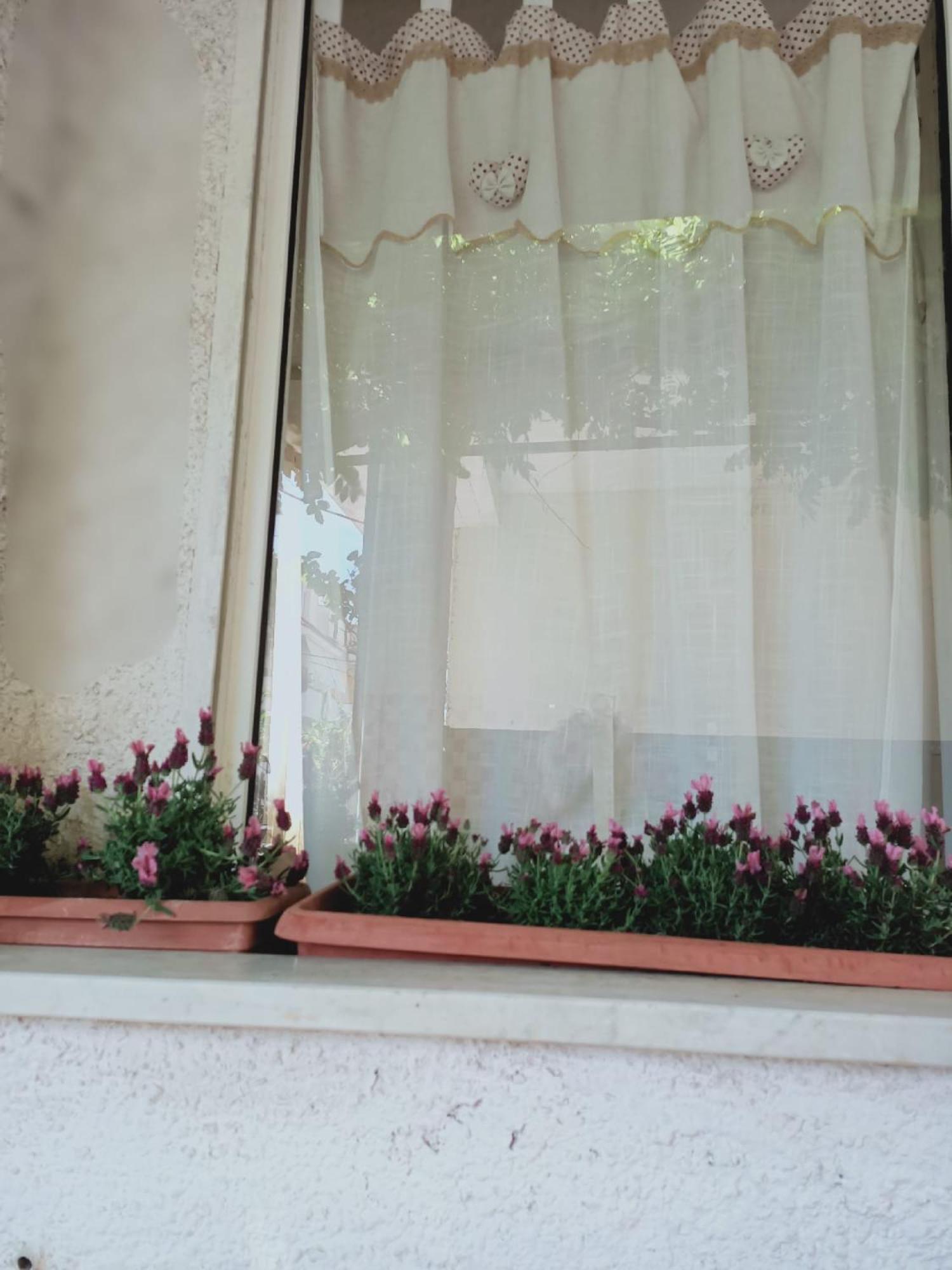 casa giardino en Scauri