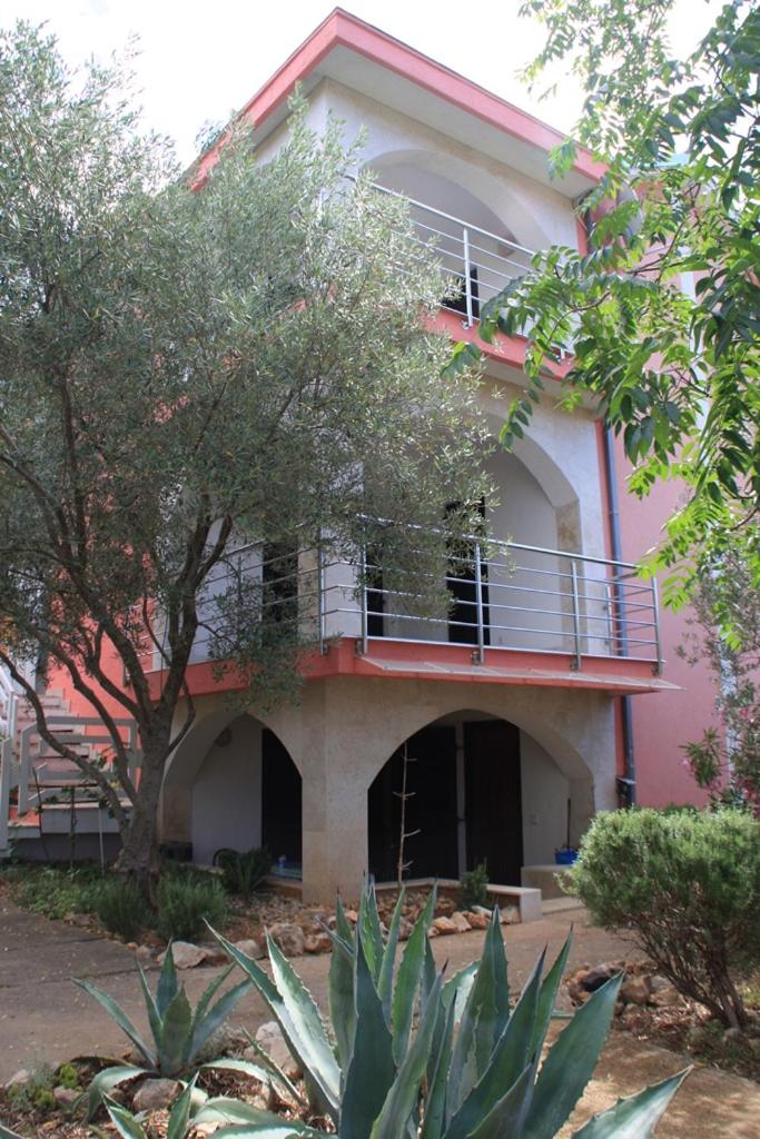 Apartmani Andreja