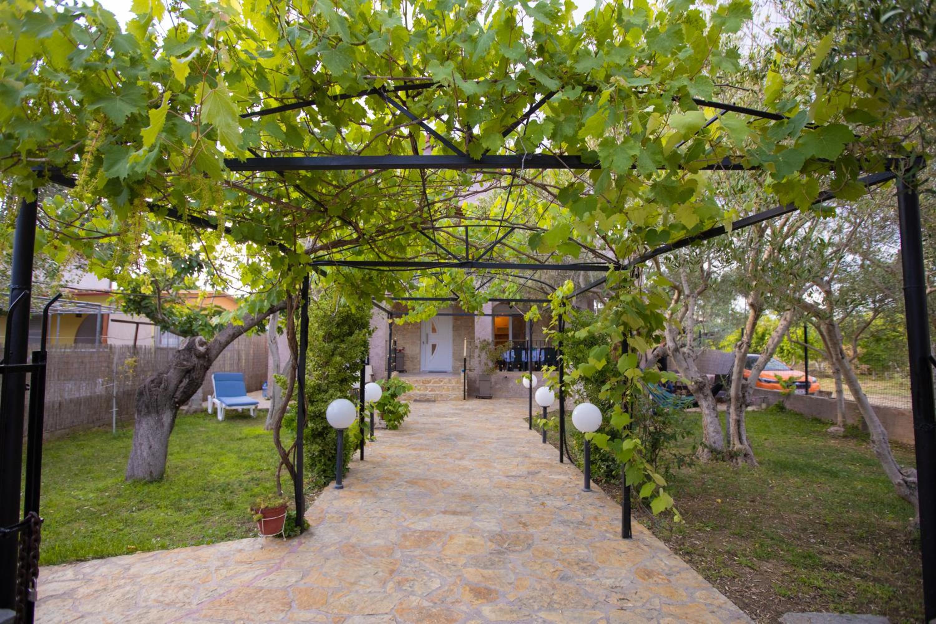 Halkidiki Villa photo 3