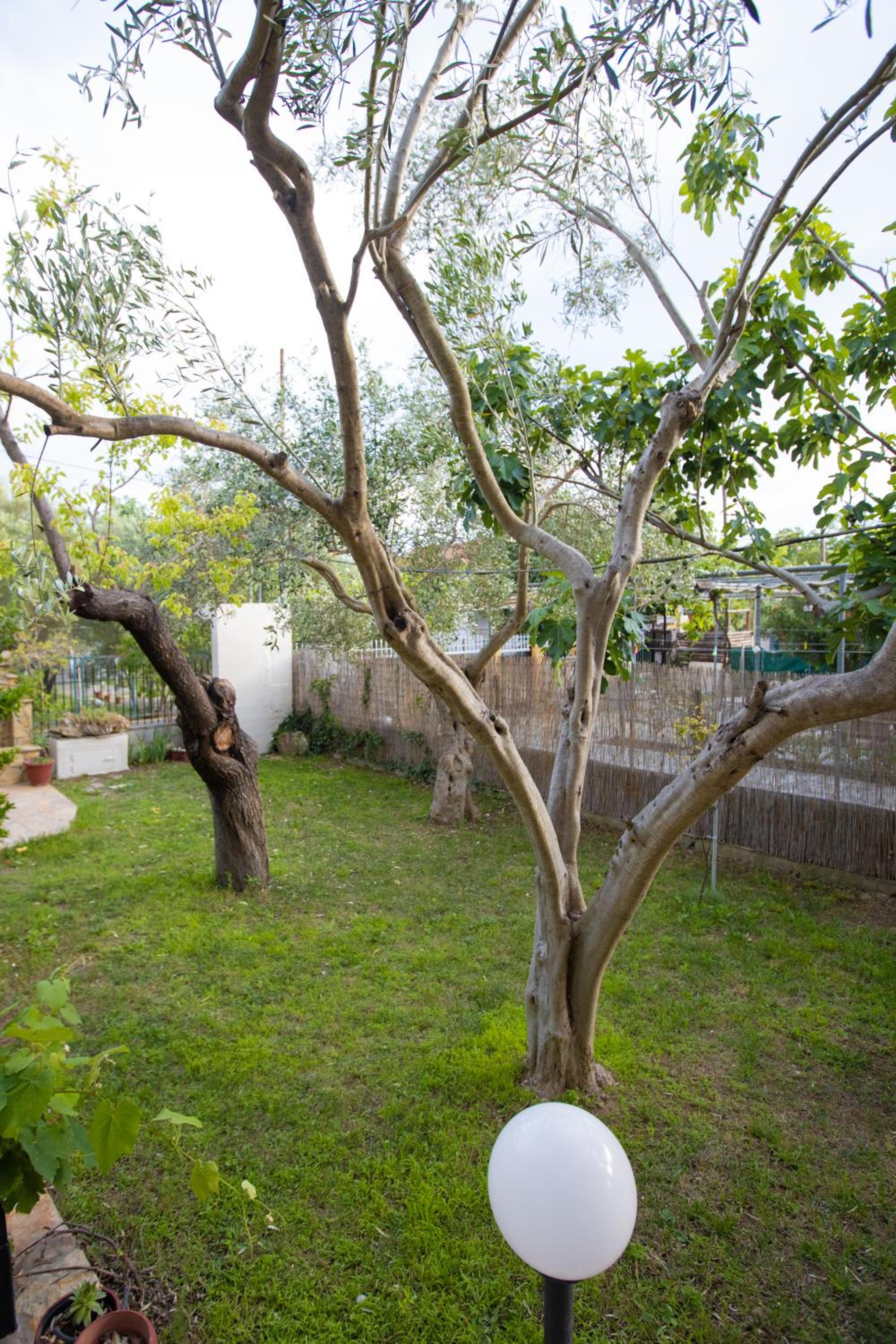 Photo 38