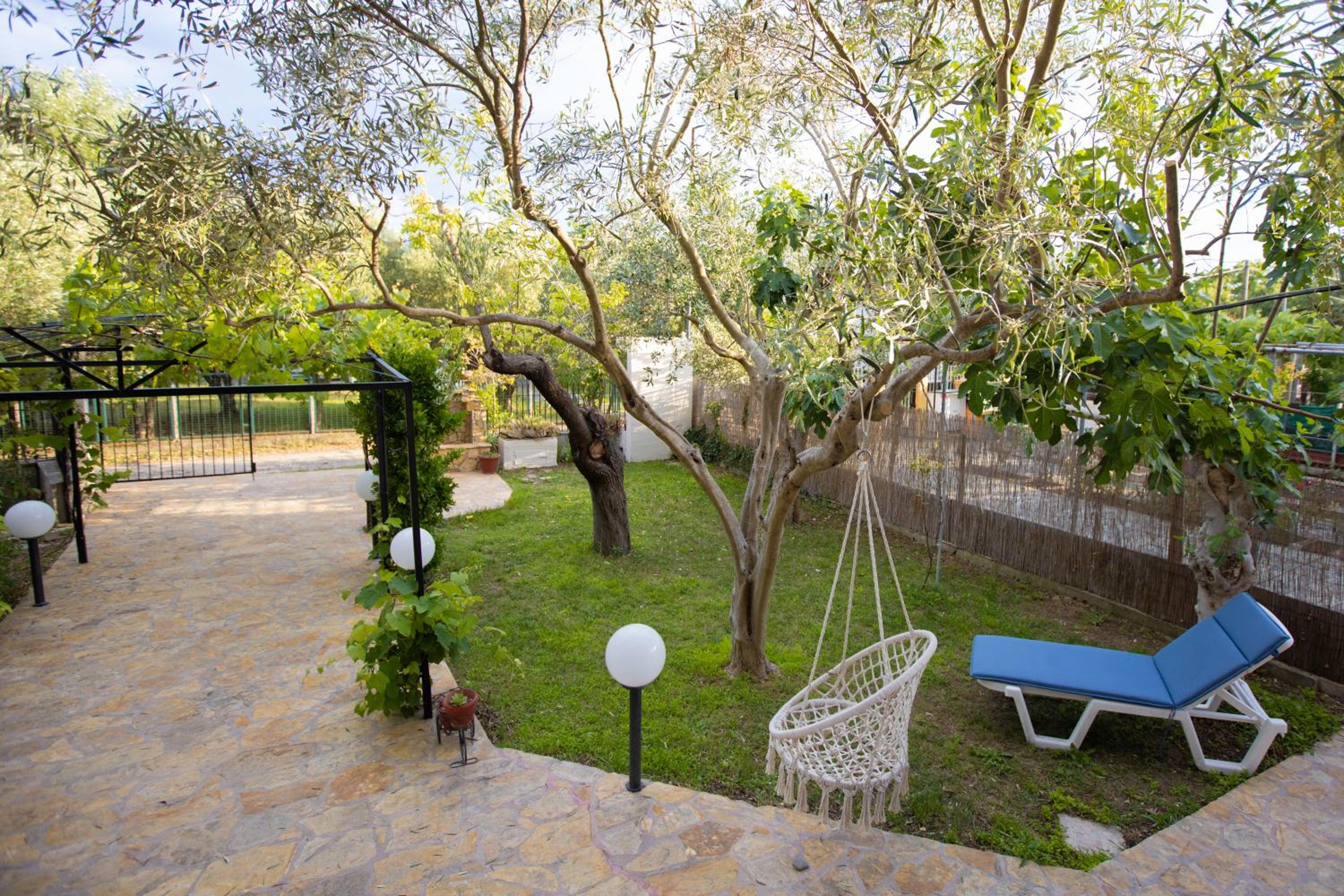 Photo 9