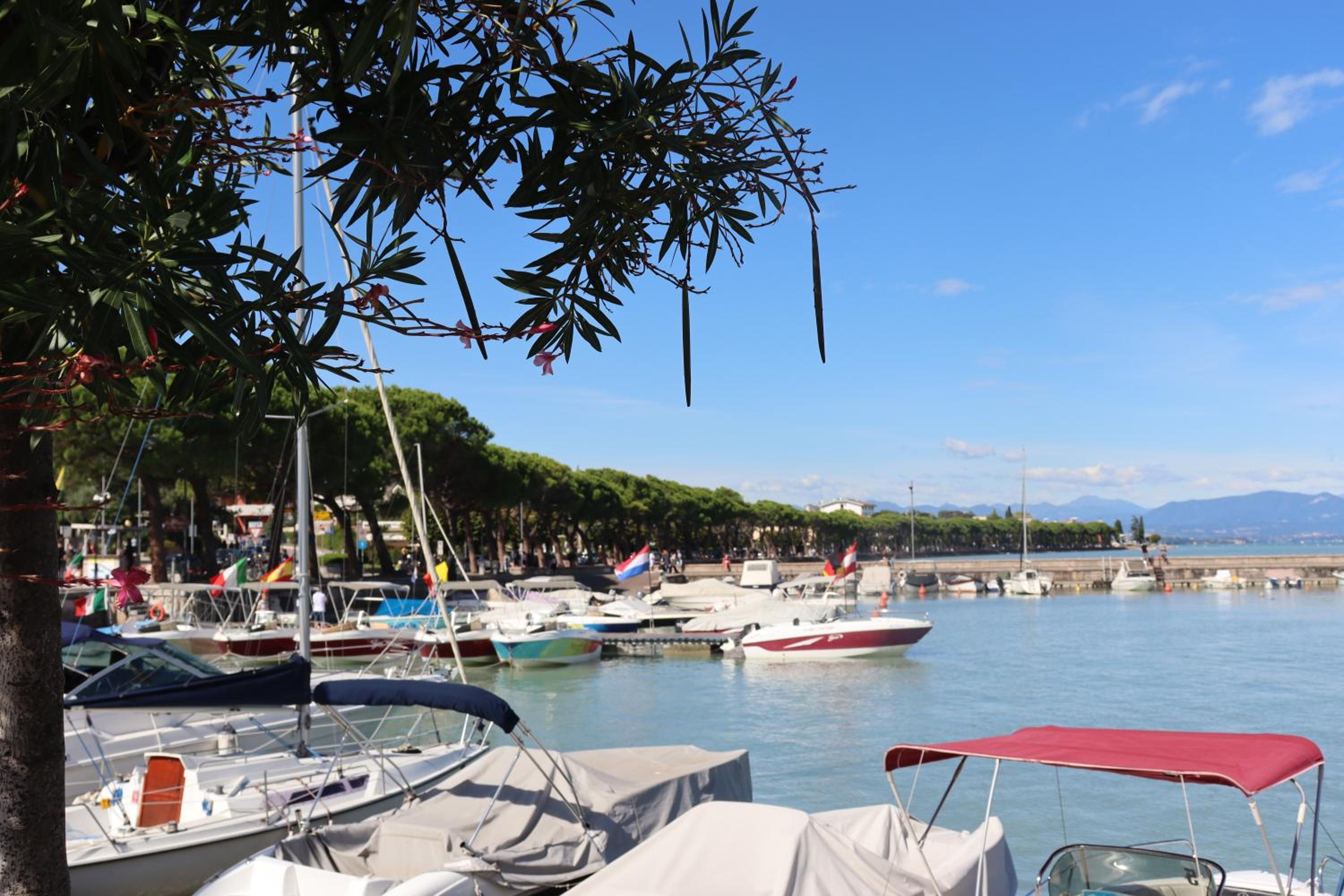 Appartamento ROSY photo 2