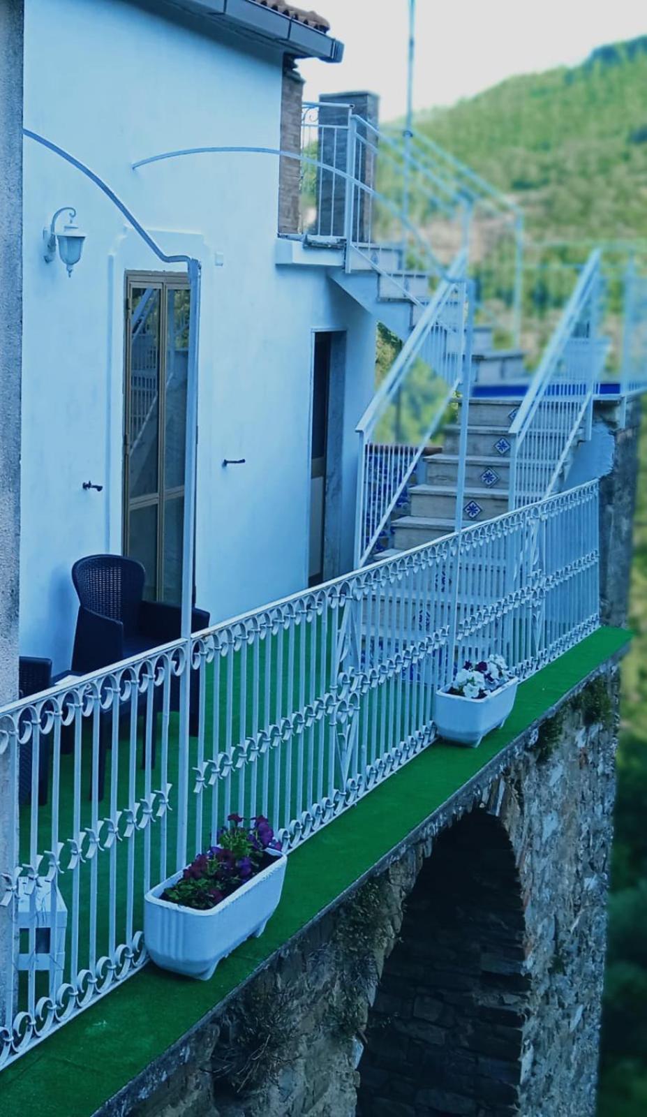 Photo 40