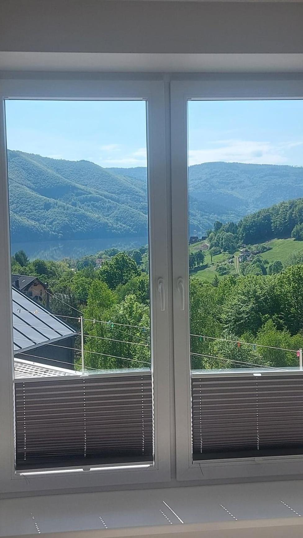 Mountain and Lake Views beautiful Miedzybrodzie view 3