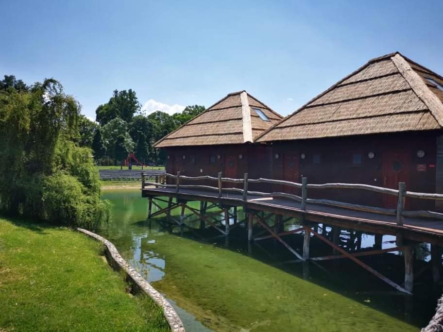 Senec vilka na jazere