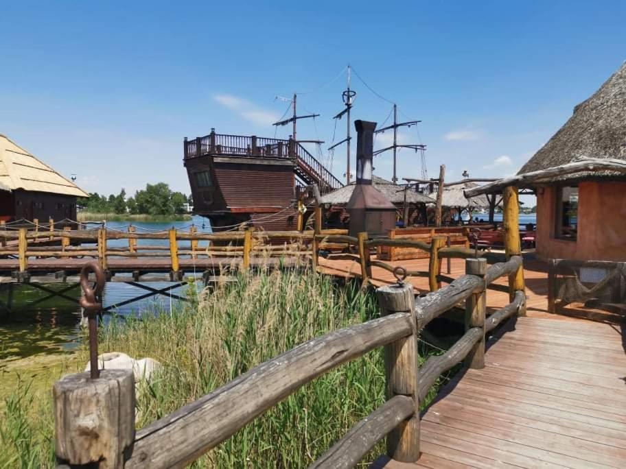 Senec vilka na jazere