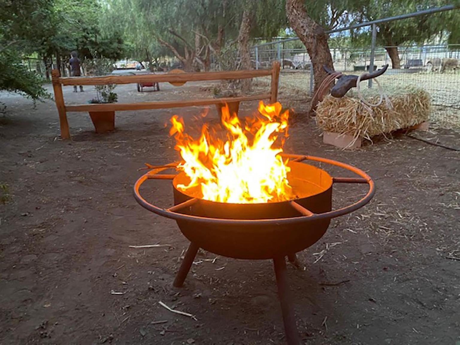 The Pony Experience; Glamping with Private Petting Zoo