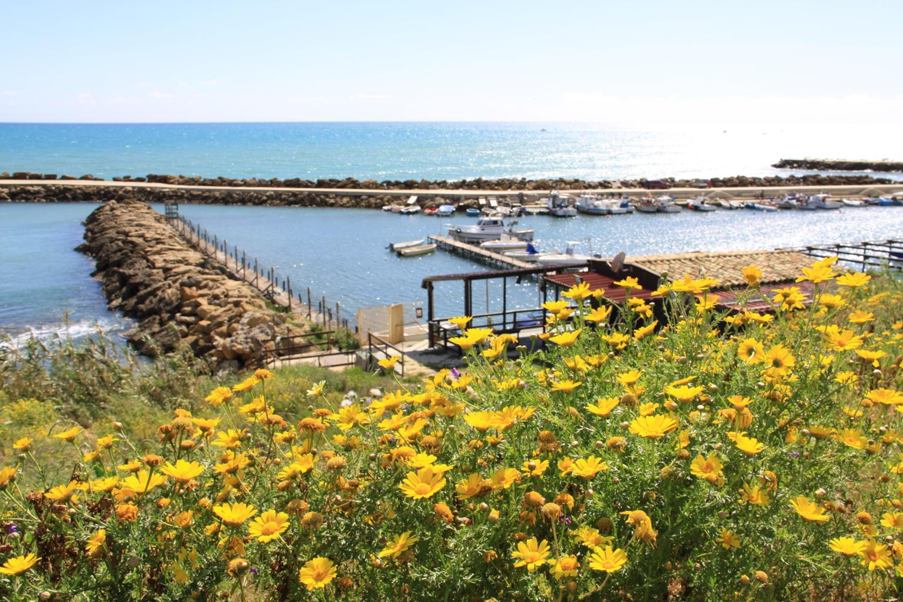 Il Pescatore view 3