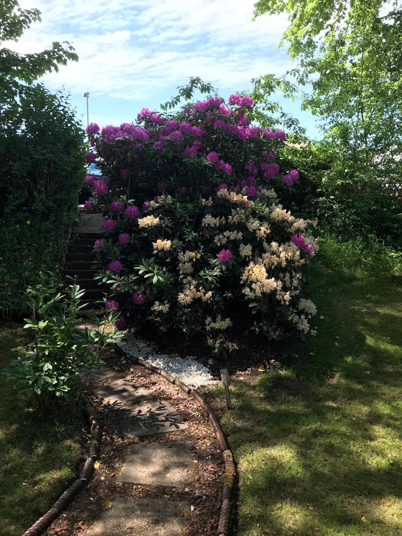 Glenaldor House B&B