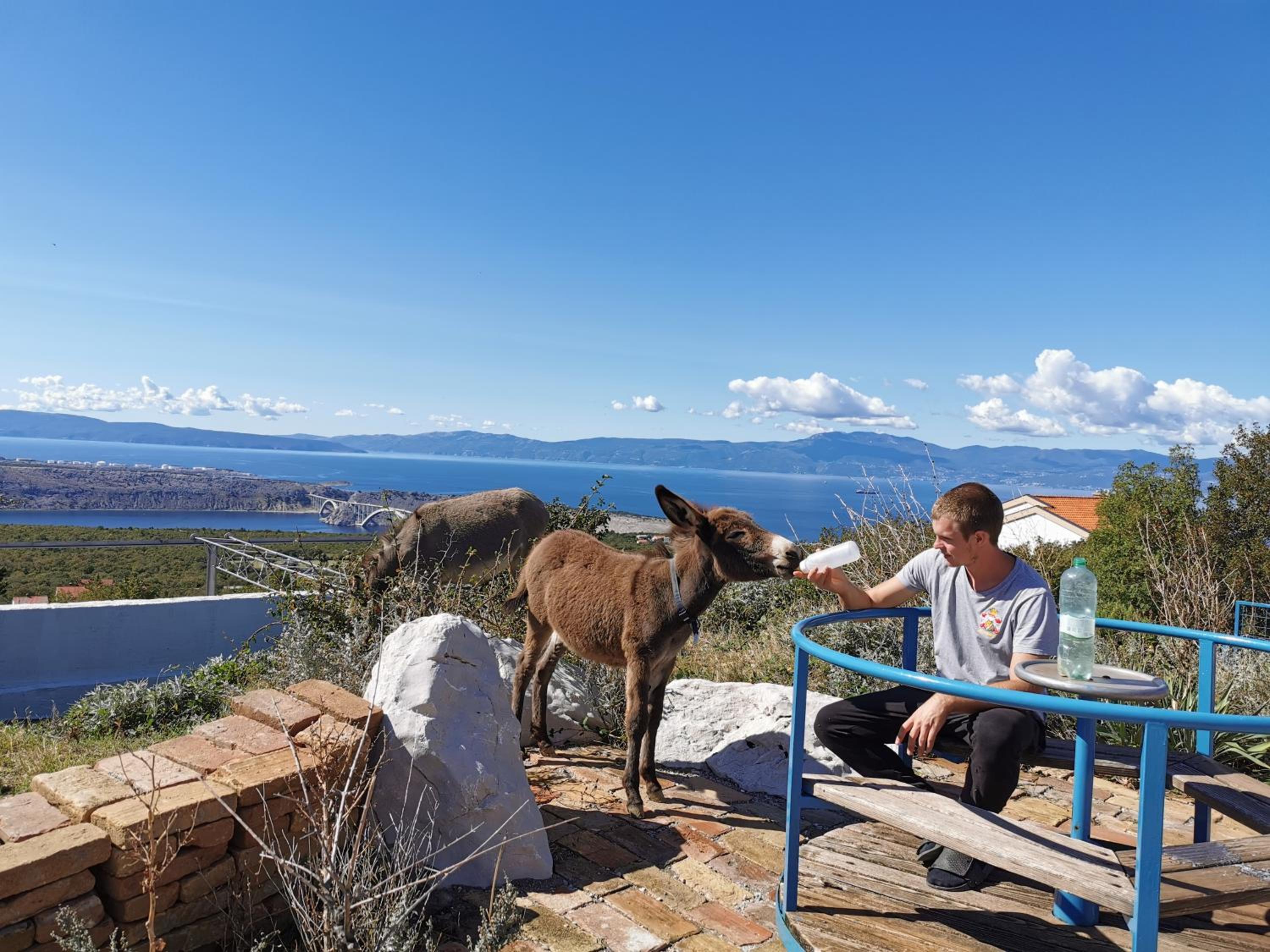 Villa Suzi Donkey farm with seaview view 3