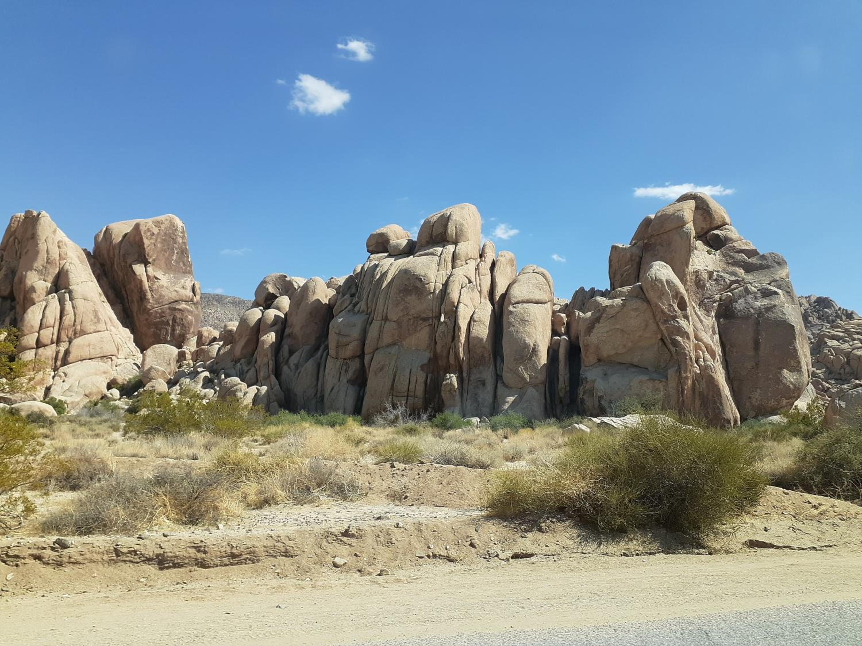 Palm Springs Vacations - Crashpod Hostel - Property Image 56