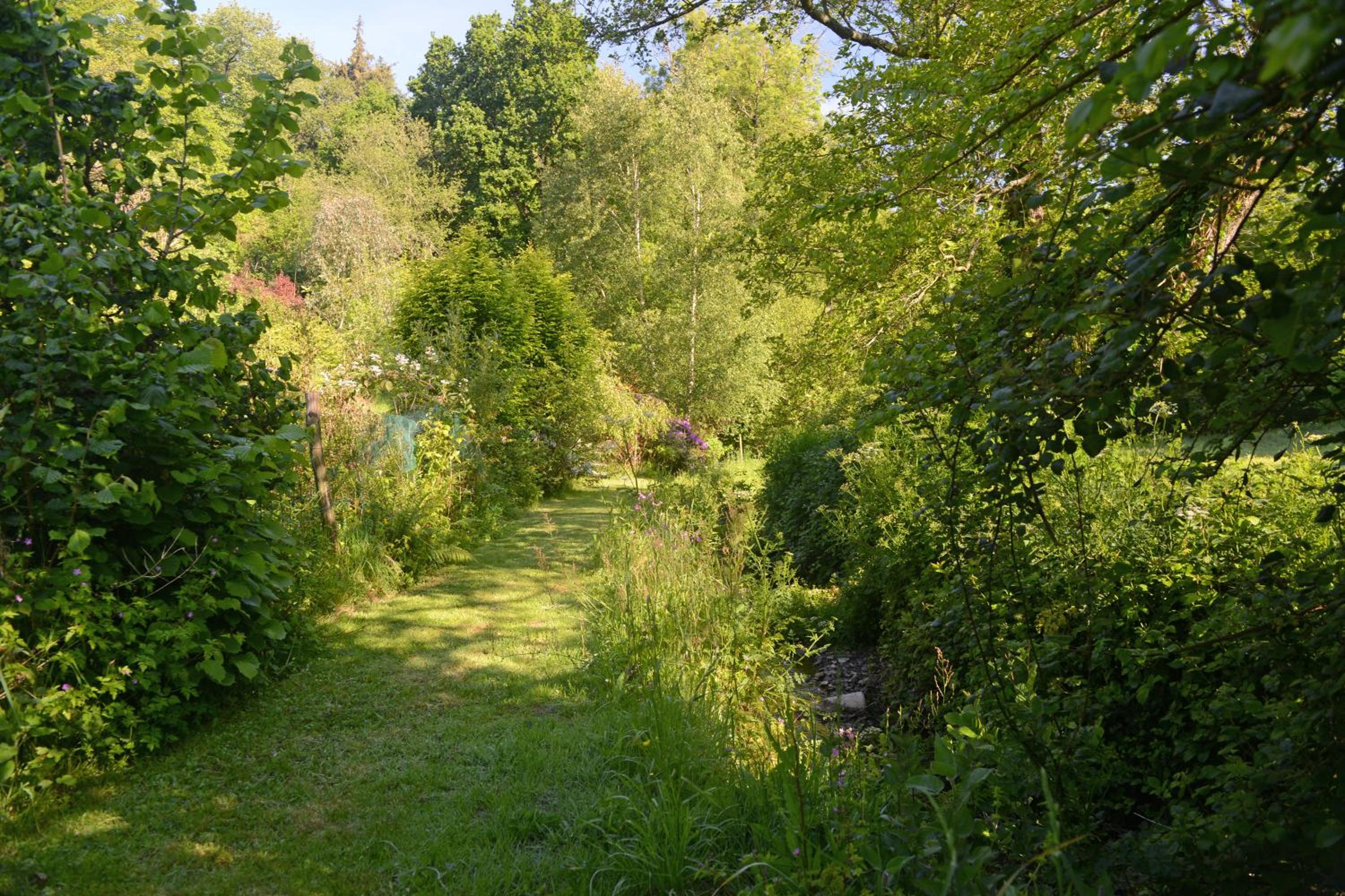 Photo 19