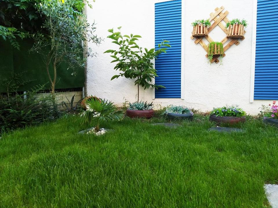 Photo 21
