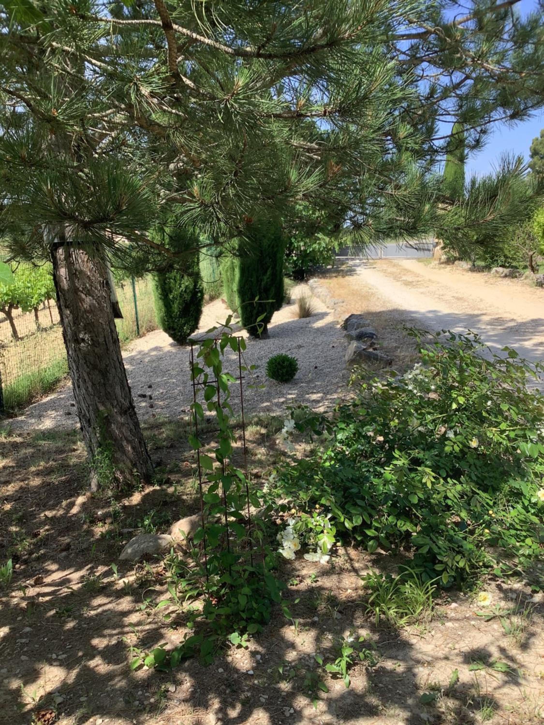 jardin d'antan view 4