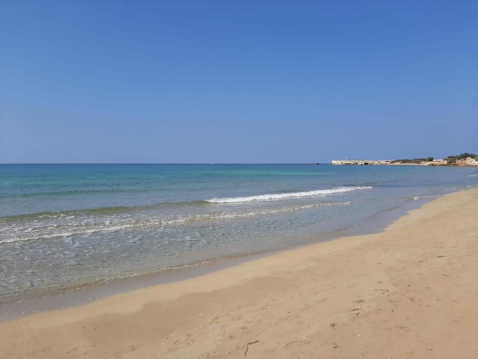 Oasi del sogno photo 1
