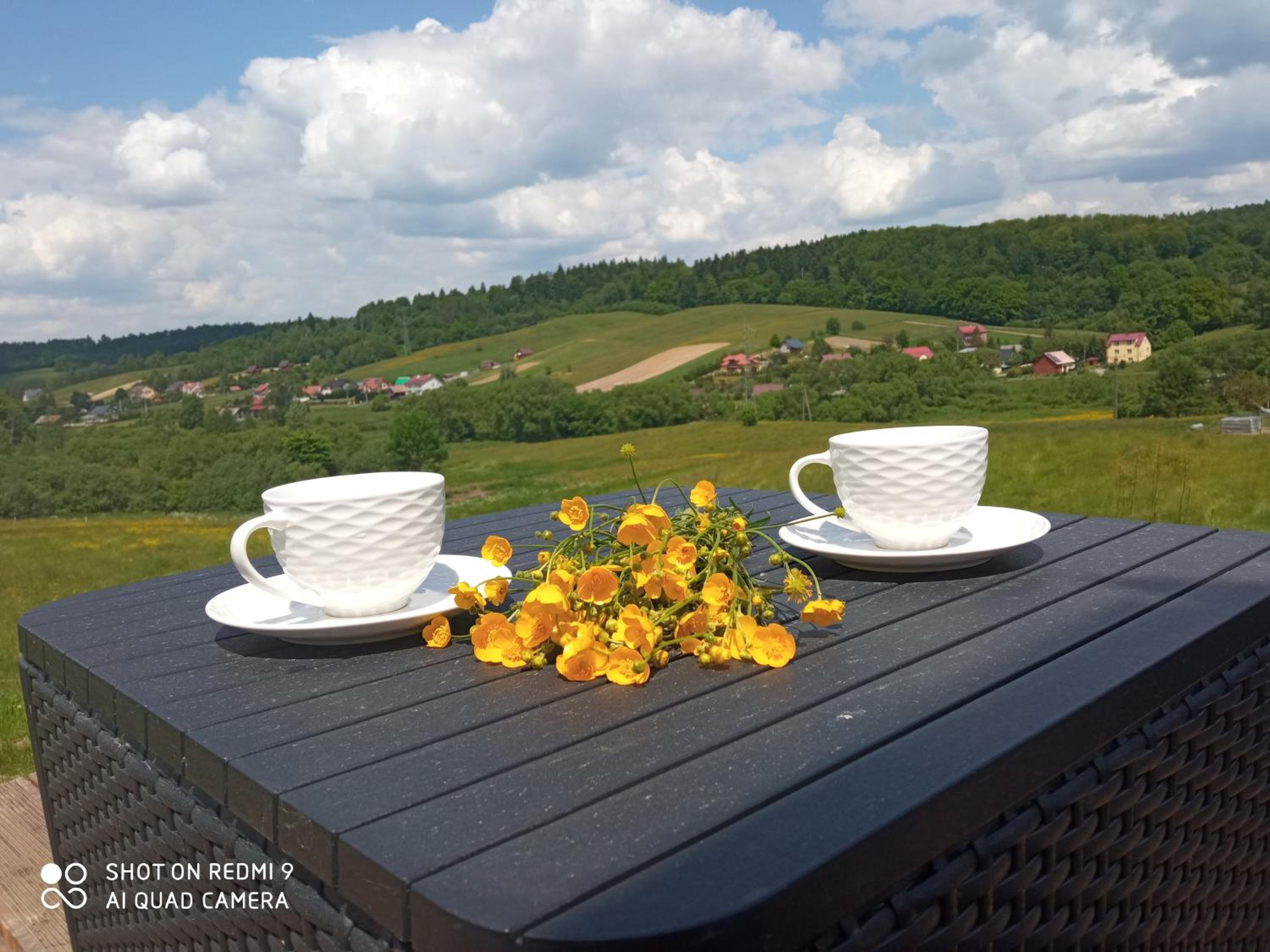 Domek na Wzgórzu