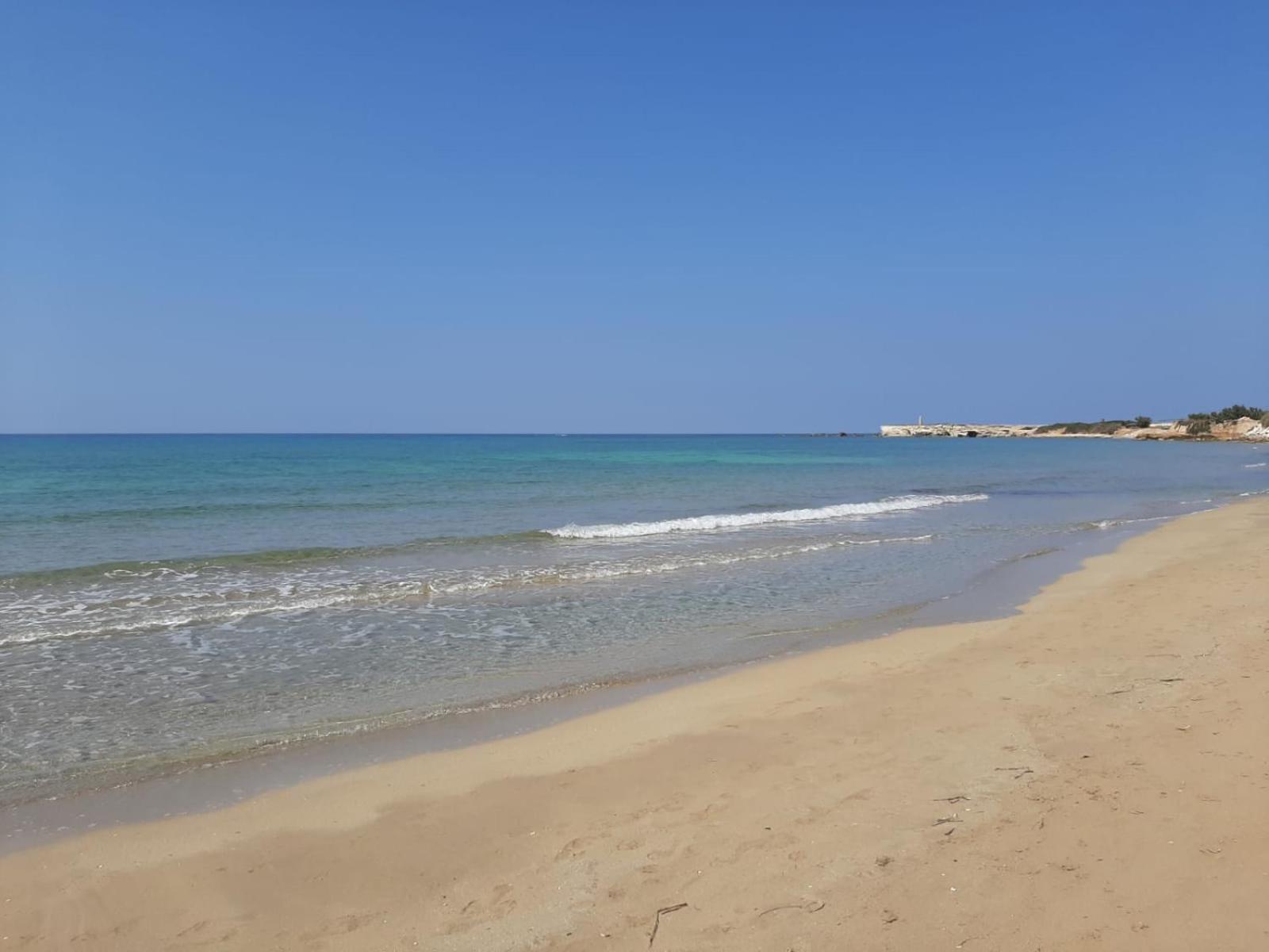 Oasi d'argilla photo 4