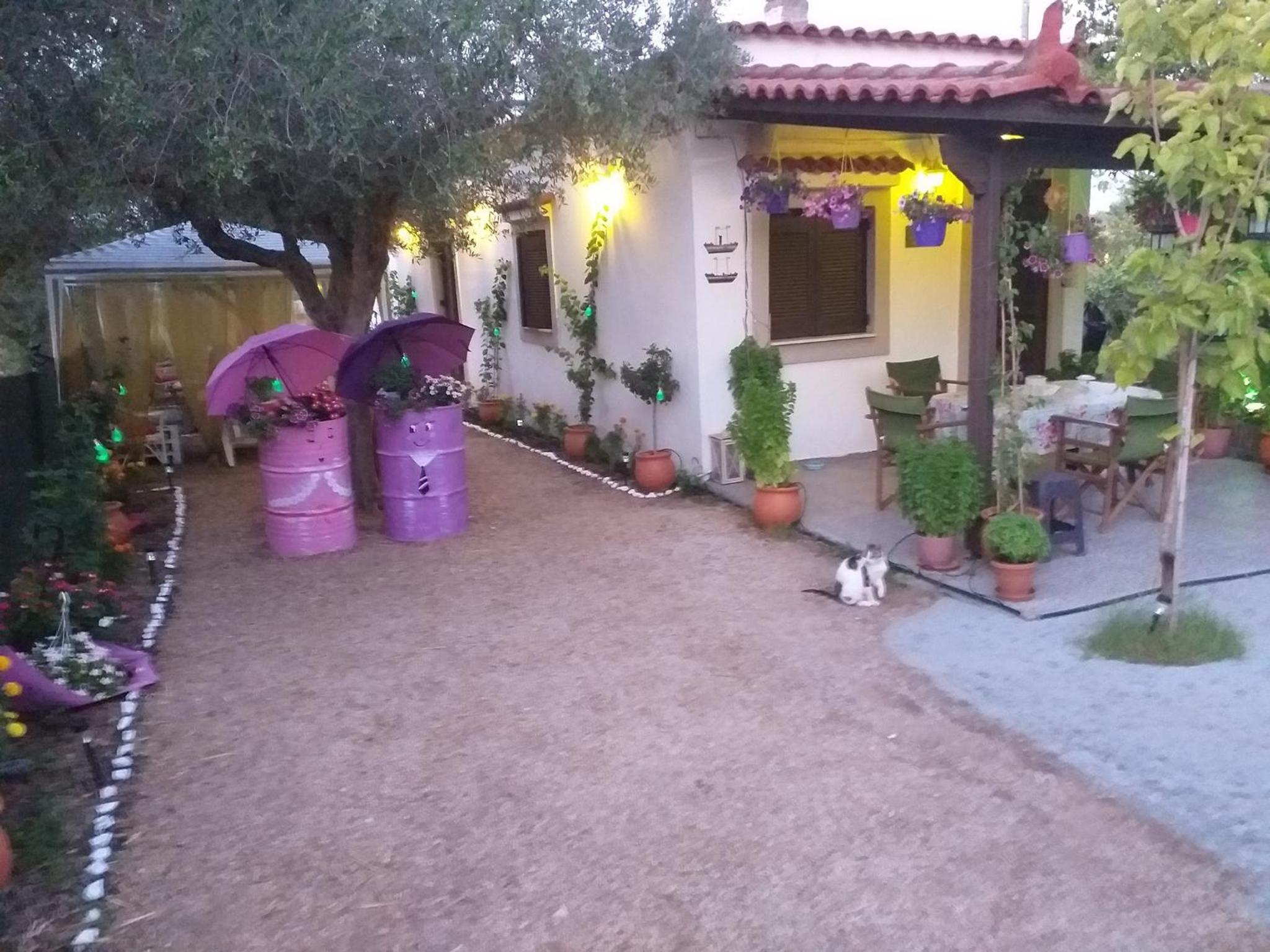 Photo 41
