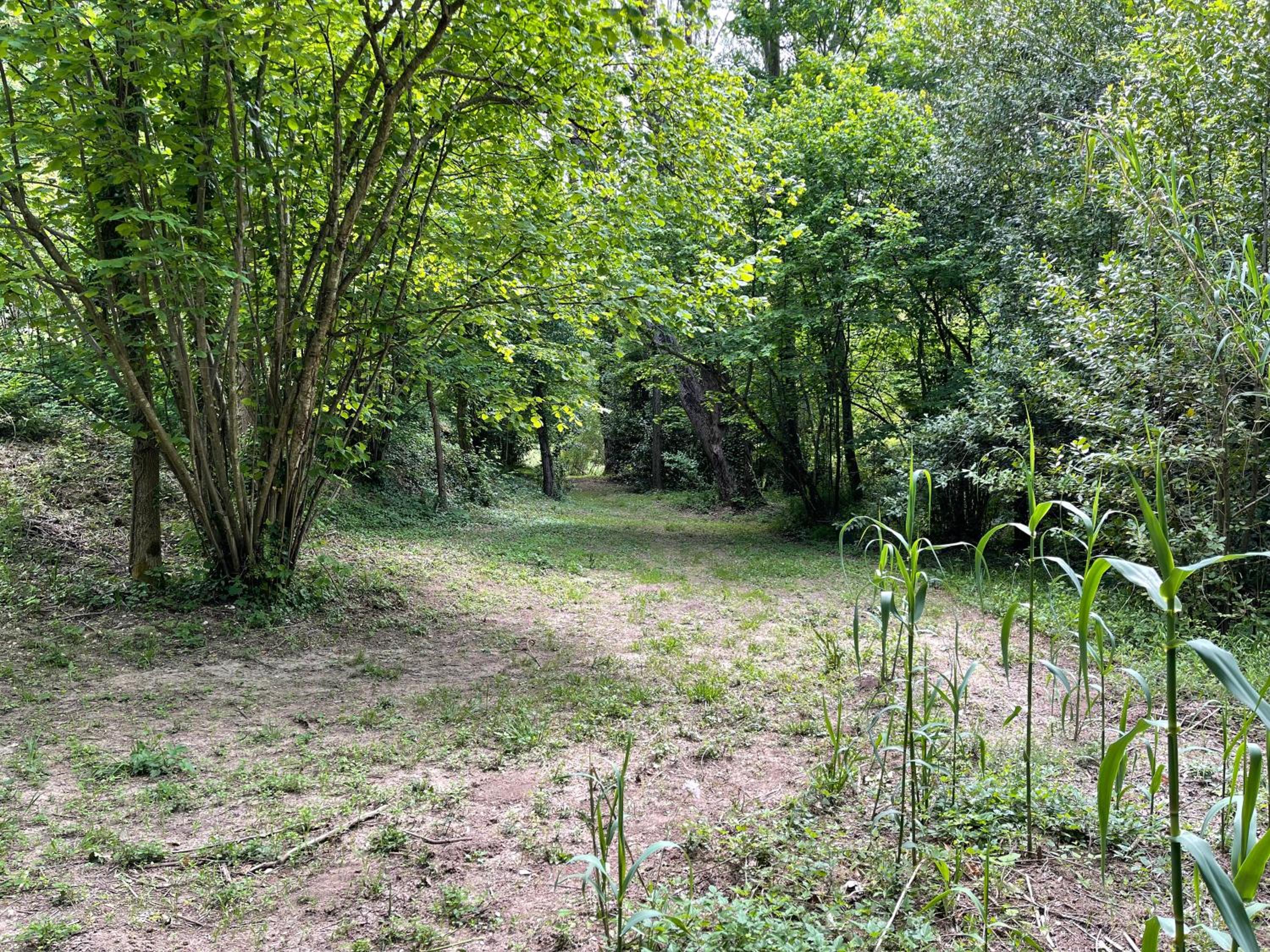 Photo 46
