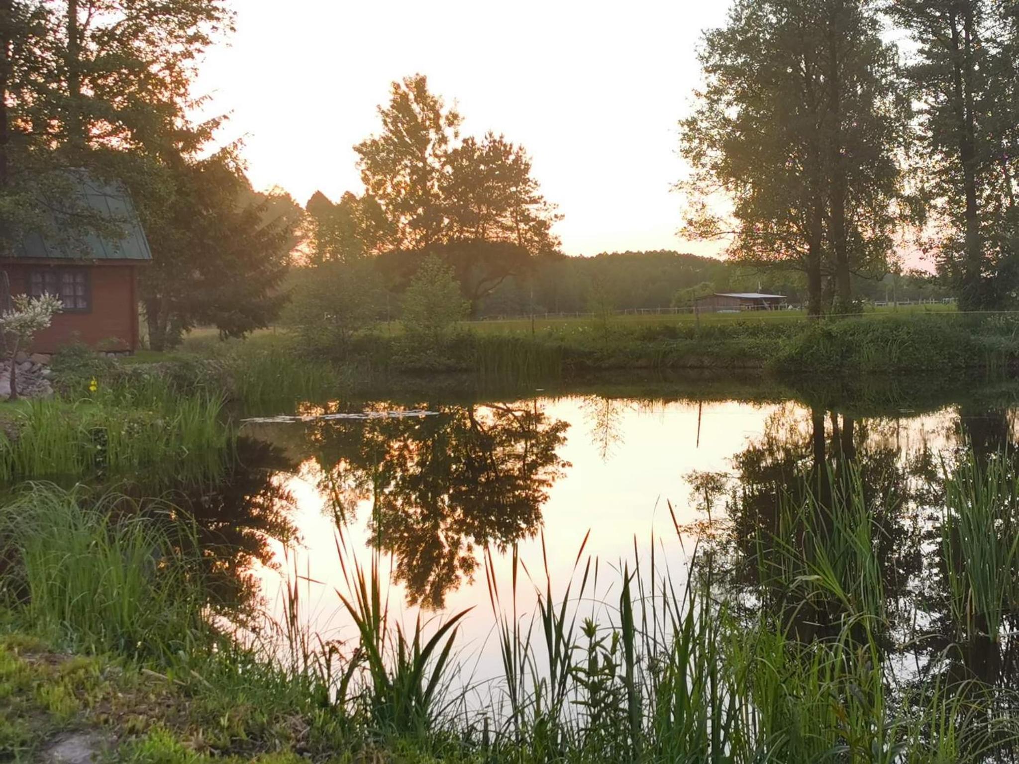 Agroturystyka Pasynki 44 view 3