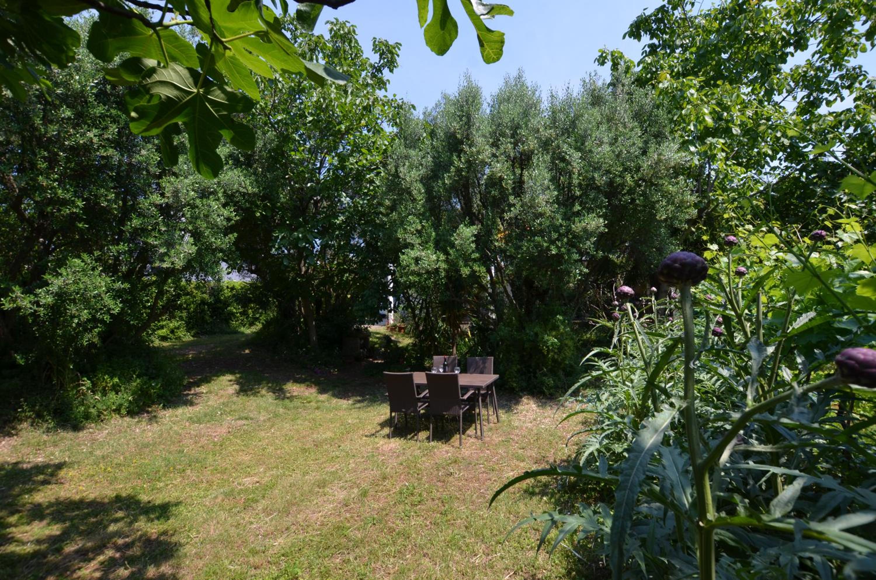 Photo 22
