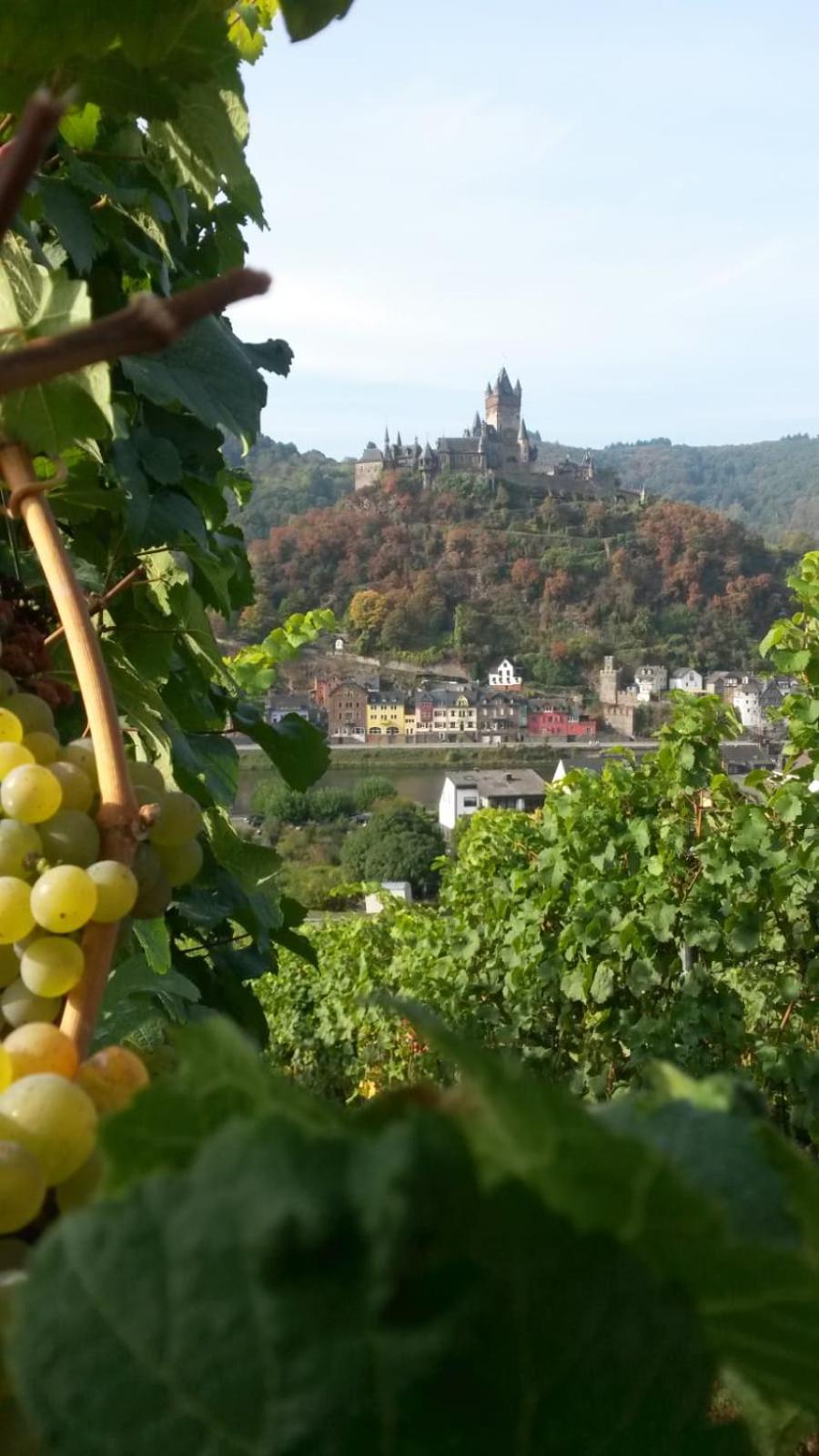 Altstadt Hotel Cochem