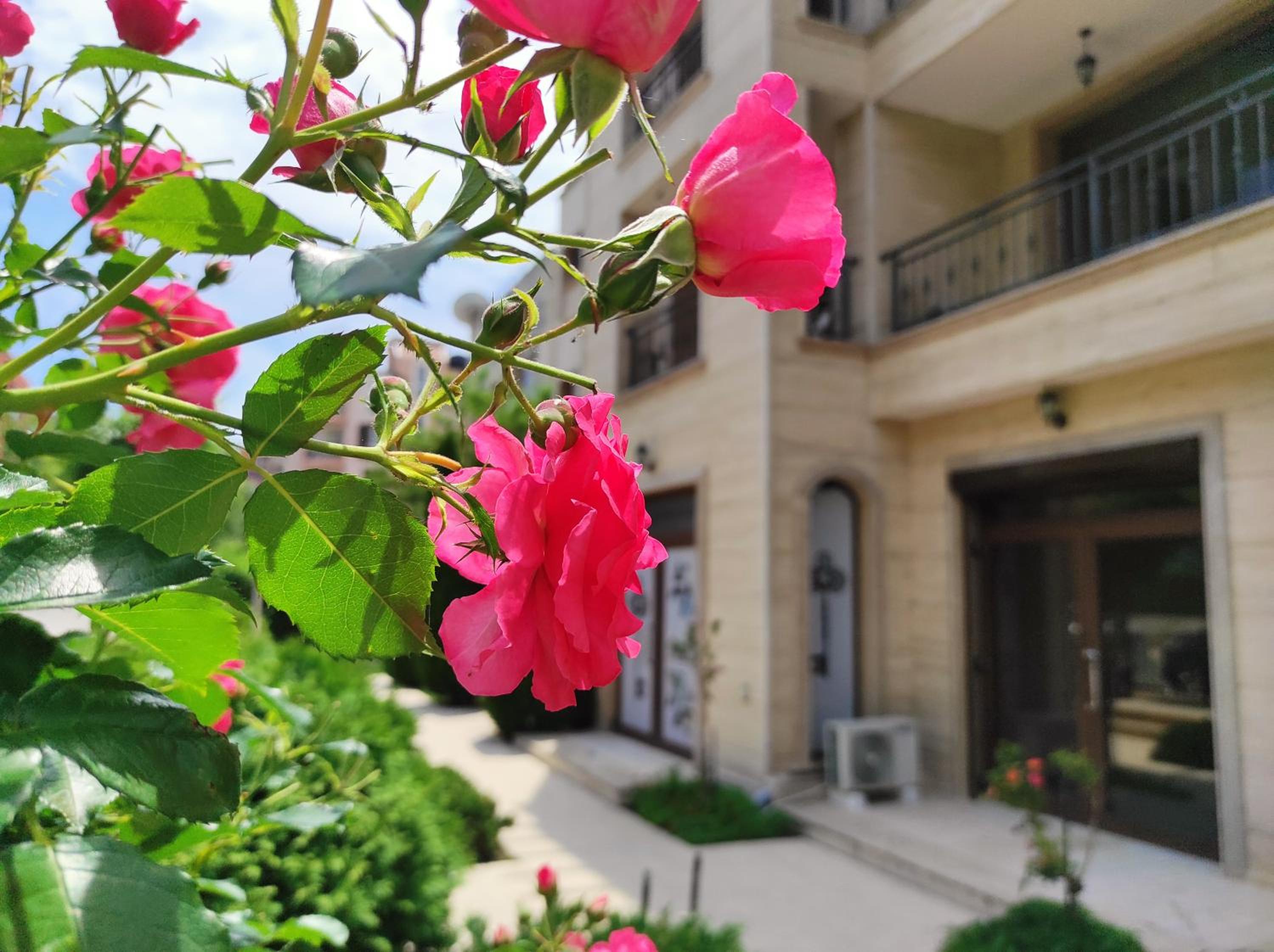 Apartments Amara Sunny Beach