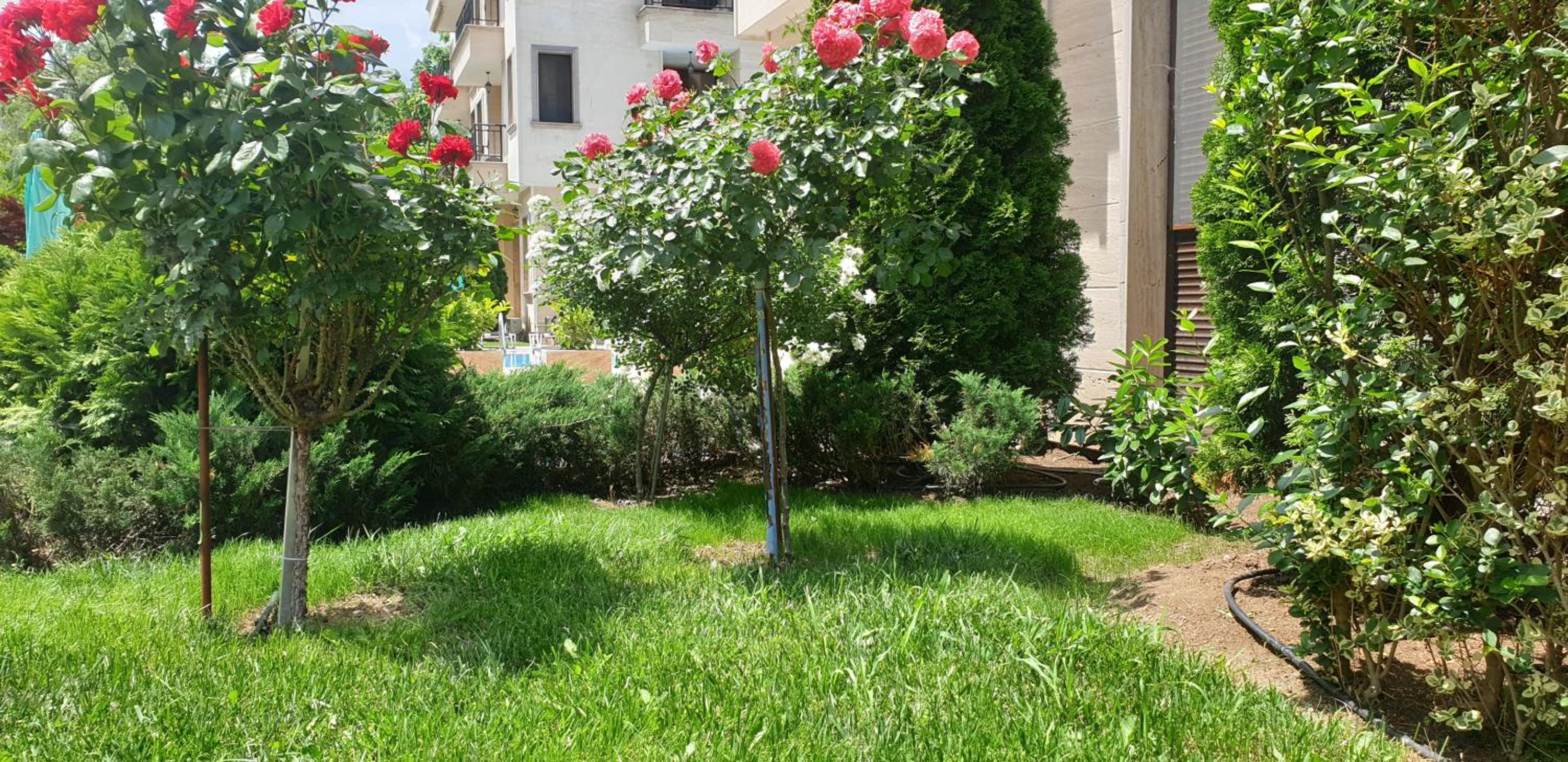 Apartments Amara Sunny Beach