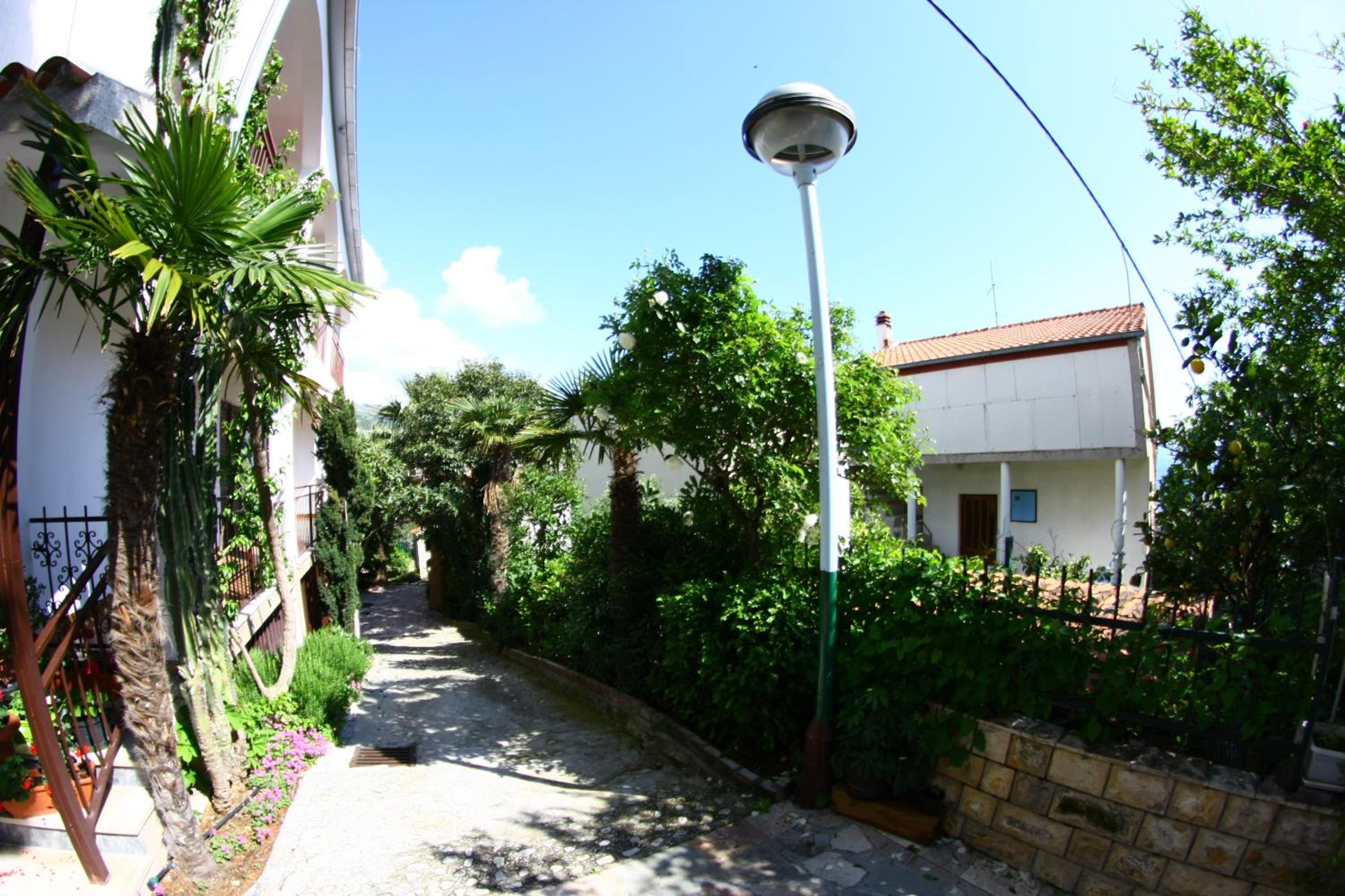 Photo 44