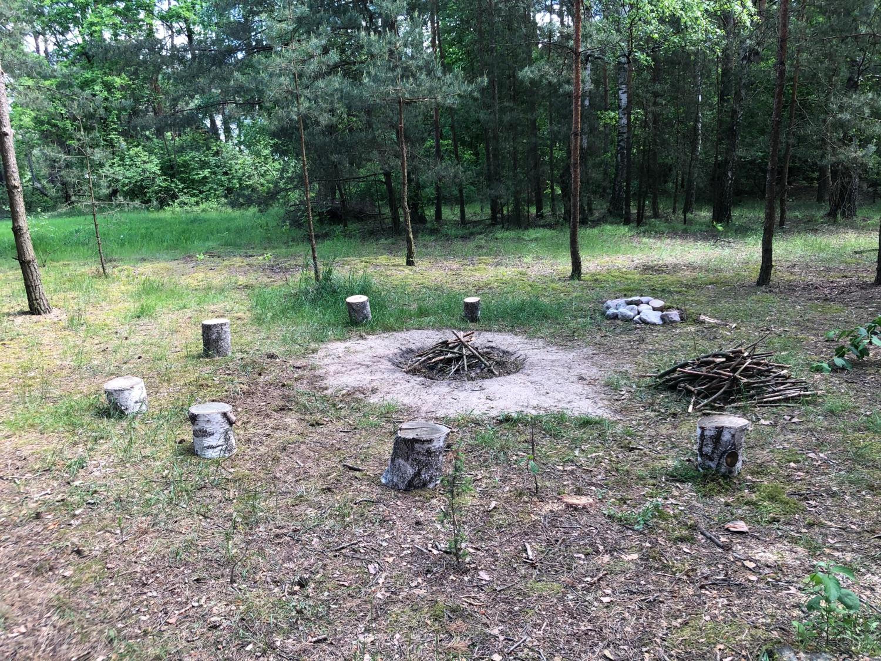 Photo 19