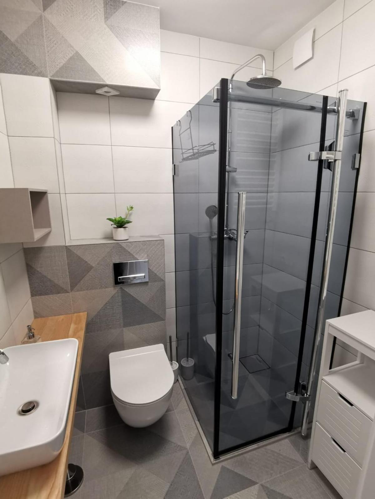 Apartament nad Łomnicą
