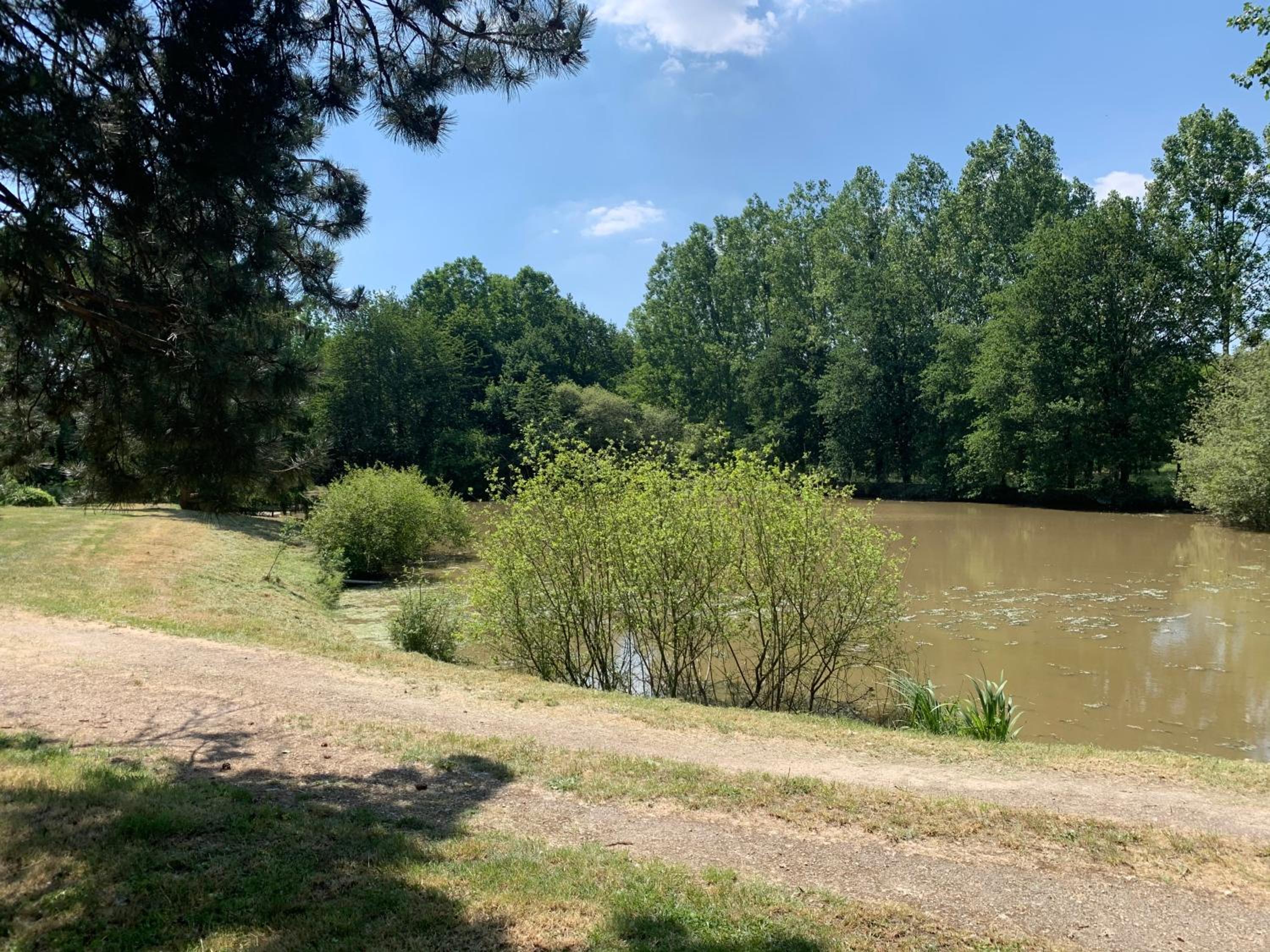 The Pond of the 7 view 2