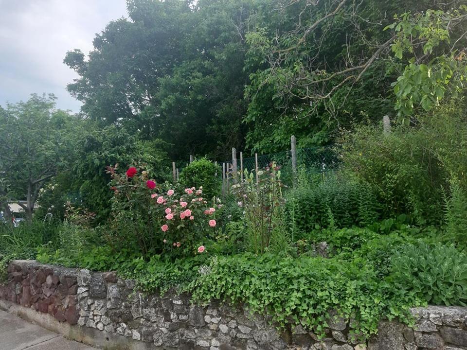 Photo 19