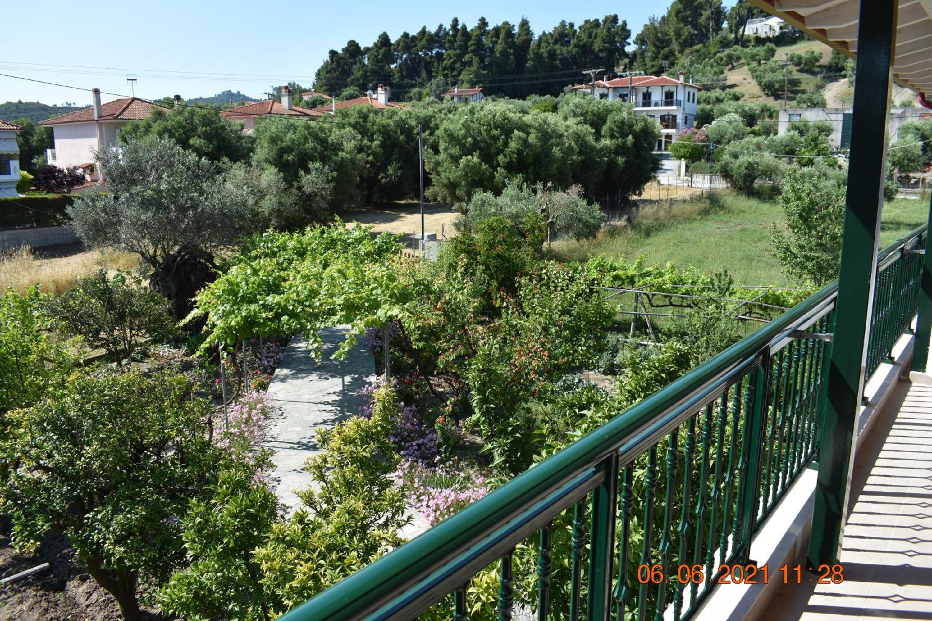 Orange Tree Garden view 4