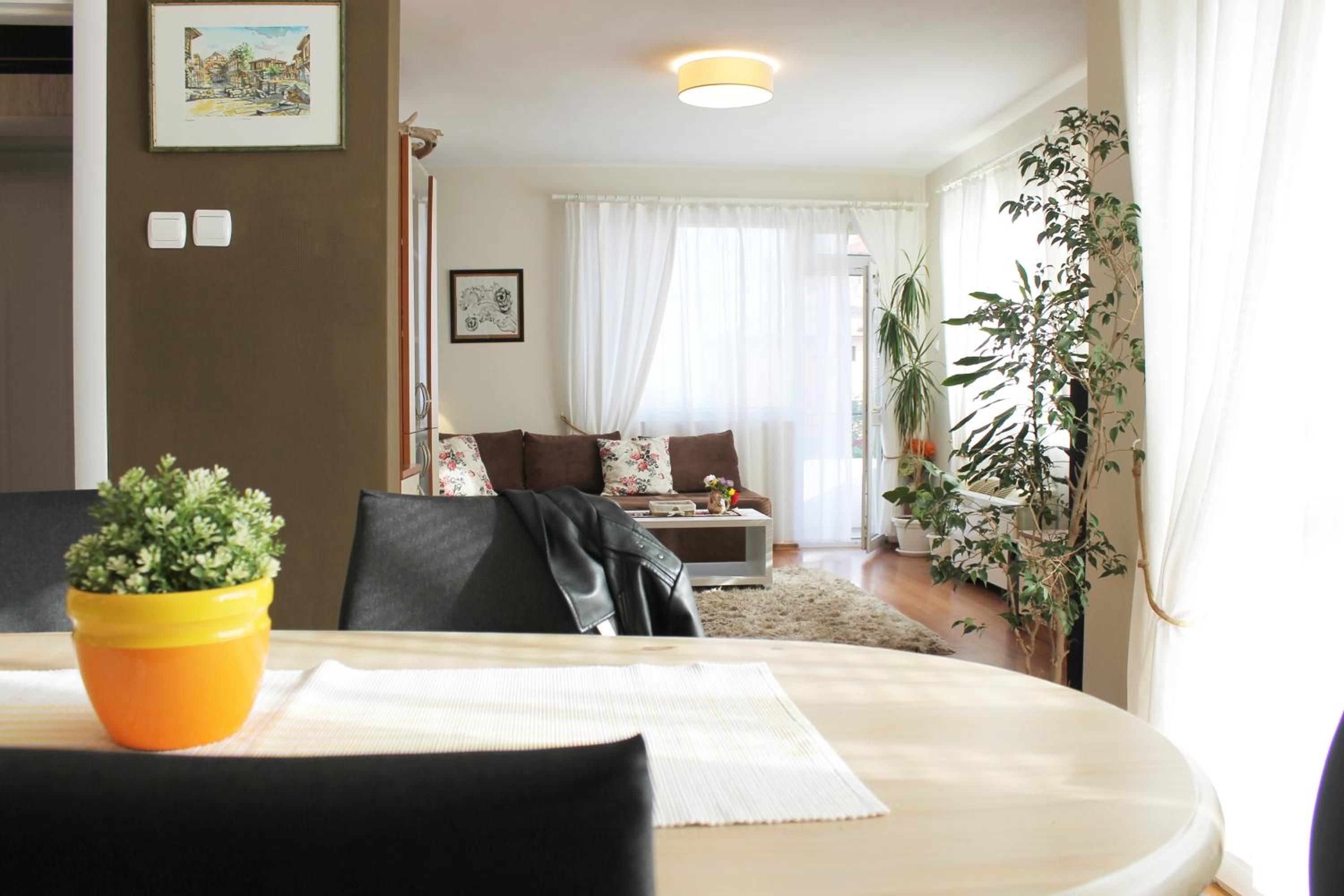 Sunny Day Apartment view 4