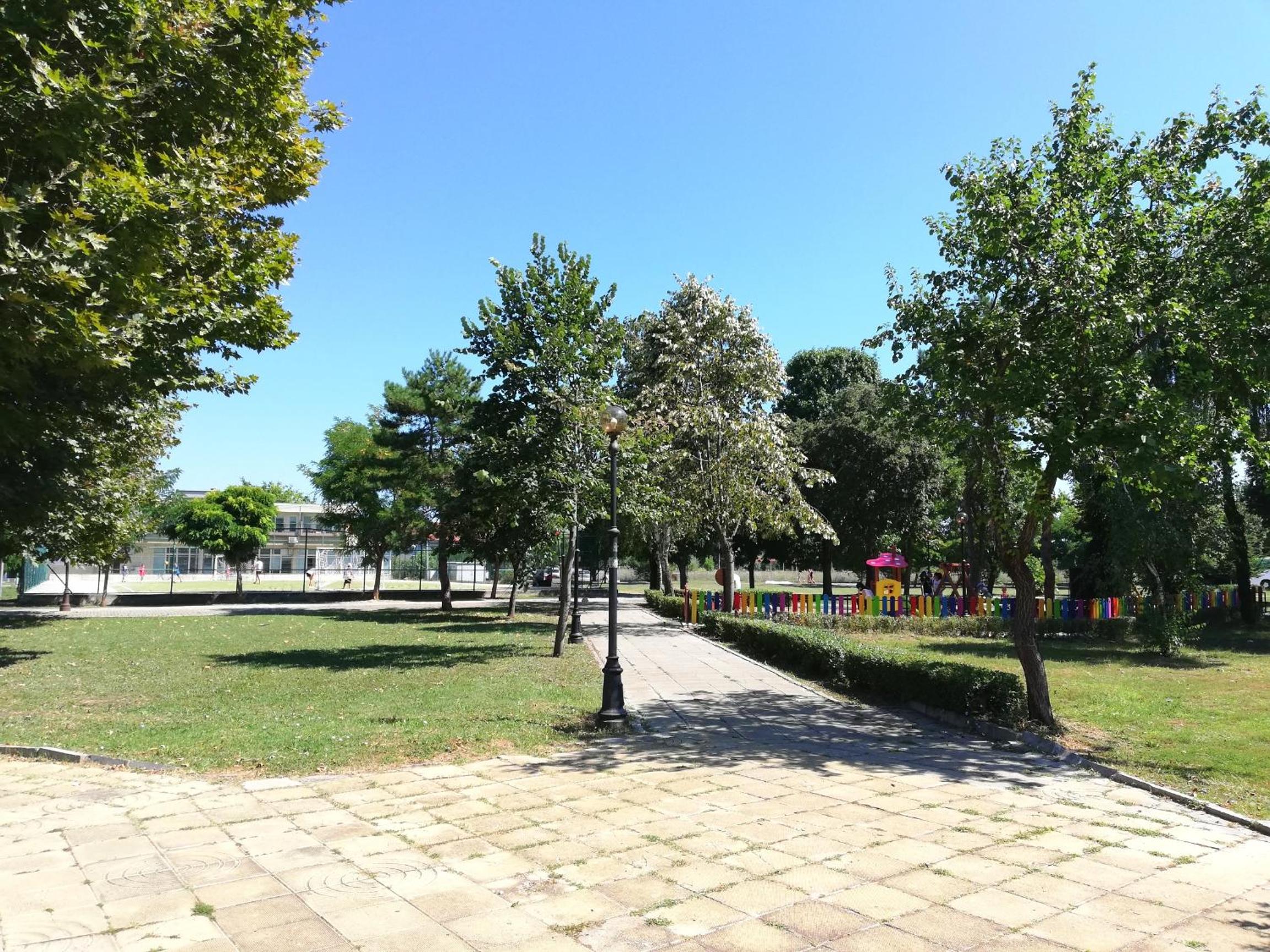 Photo 6
