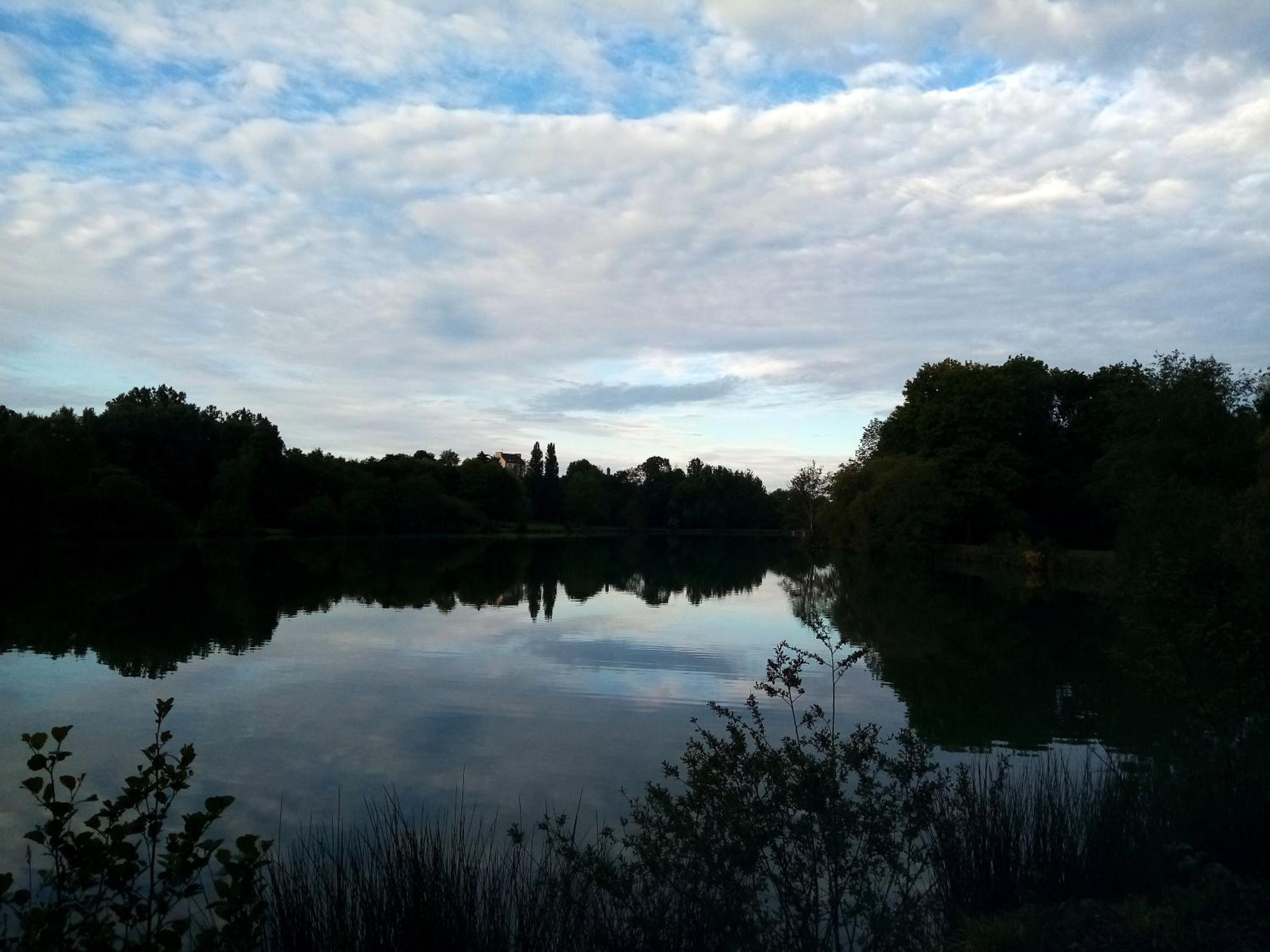 Photo 27