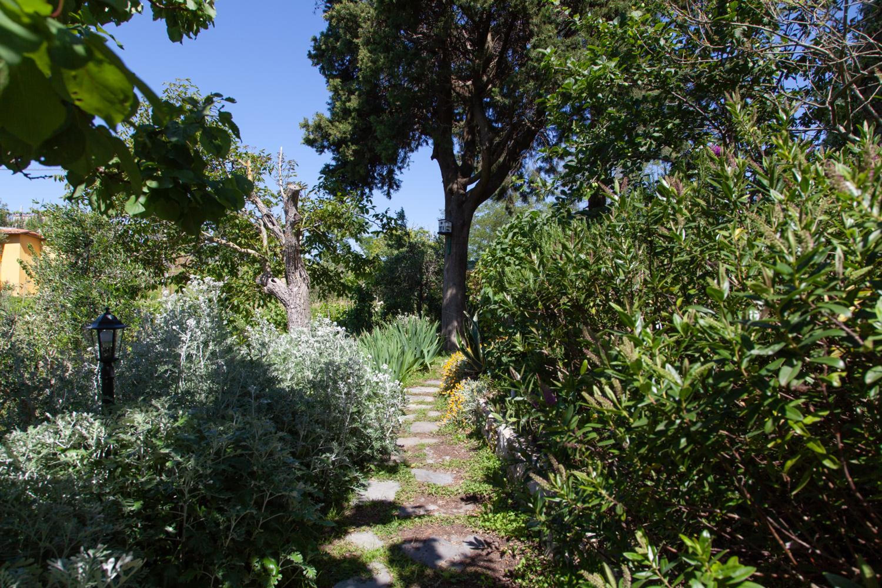 Photo 16