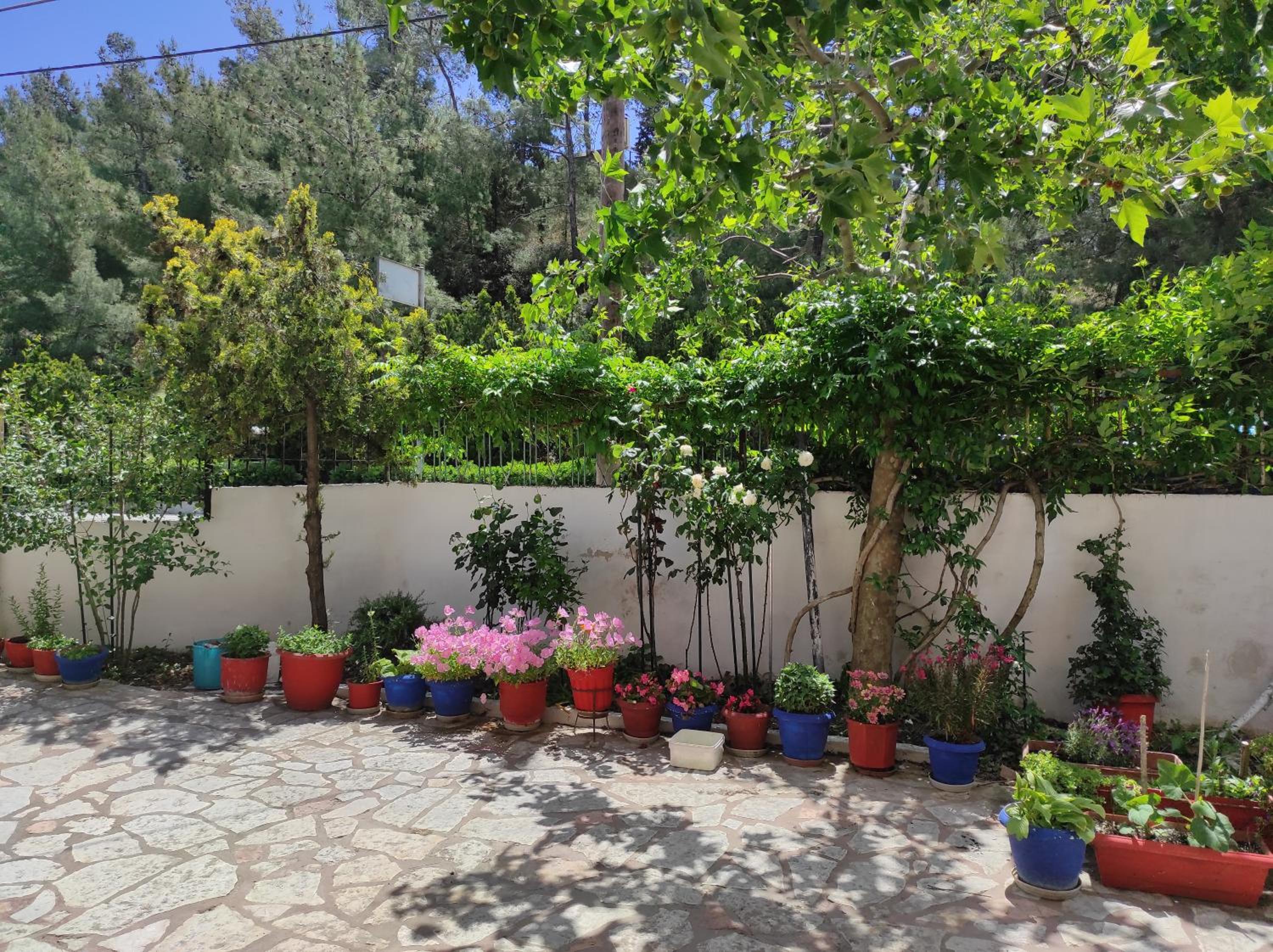 Photo 22