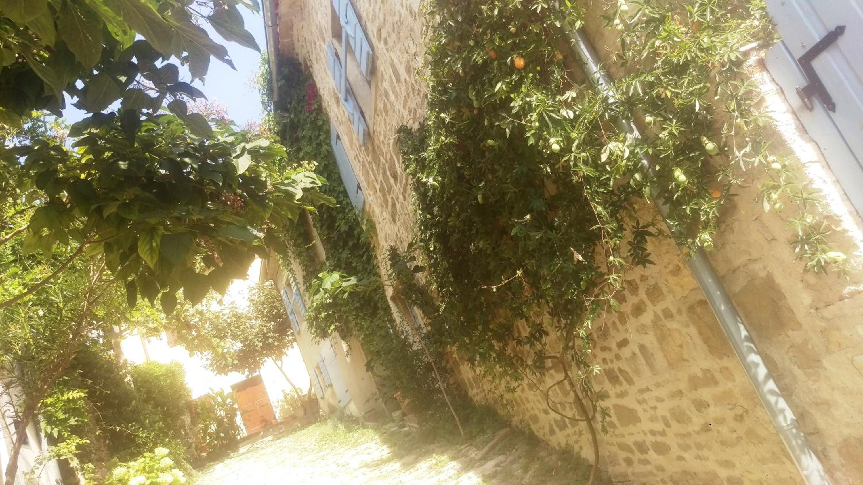 Photo 43