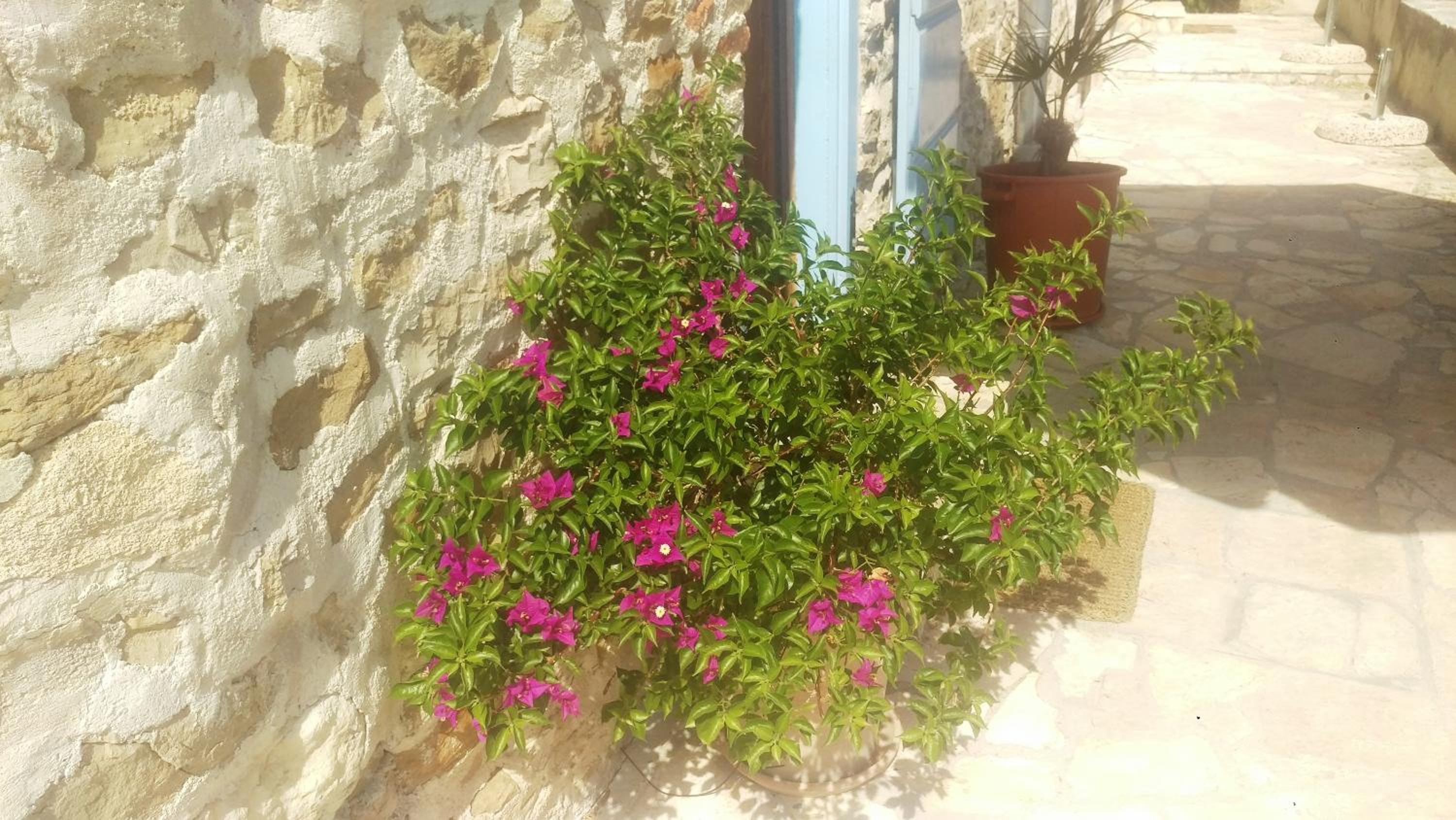 Photo 28