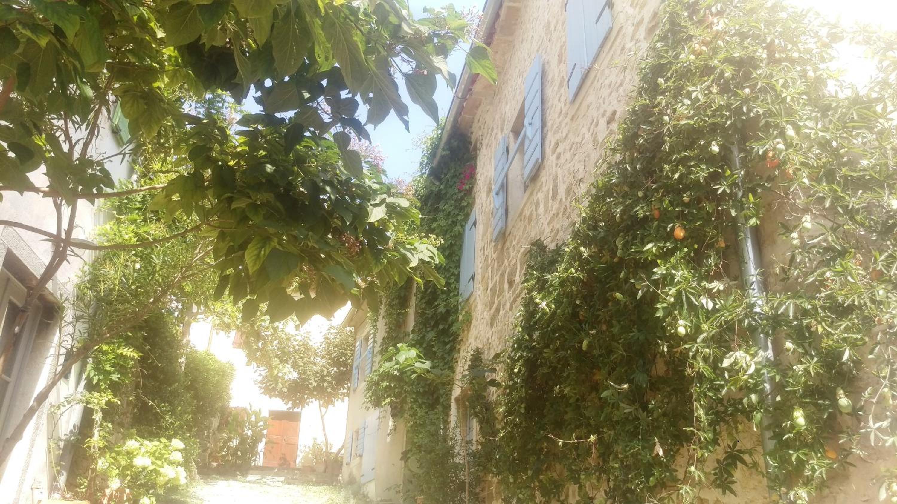 Photo 37