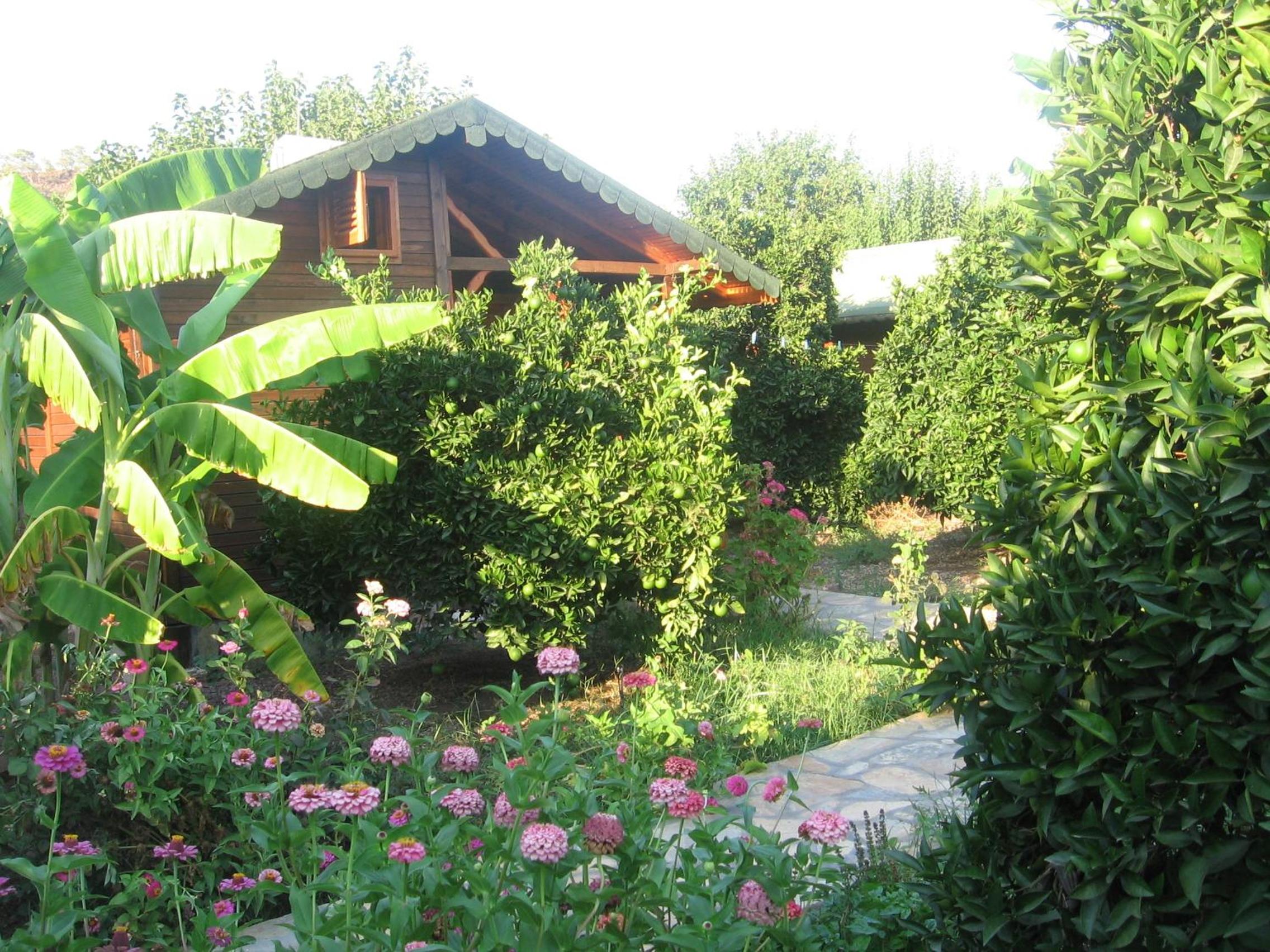 Photo 23