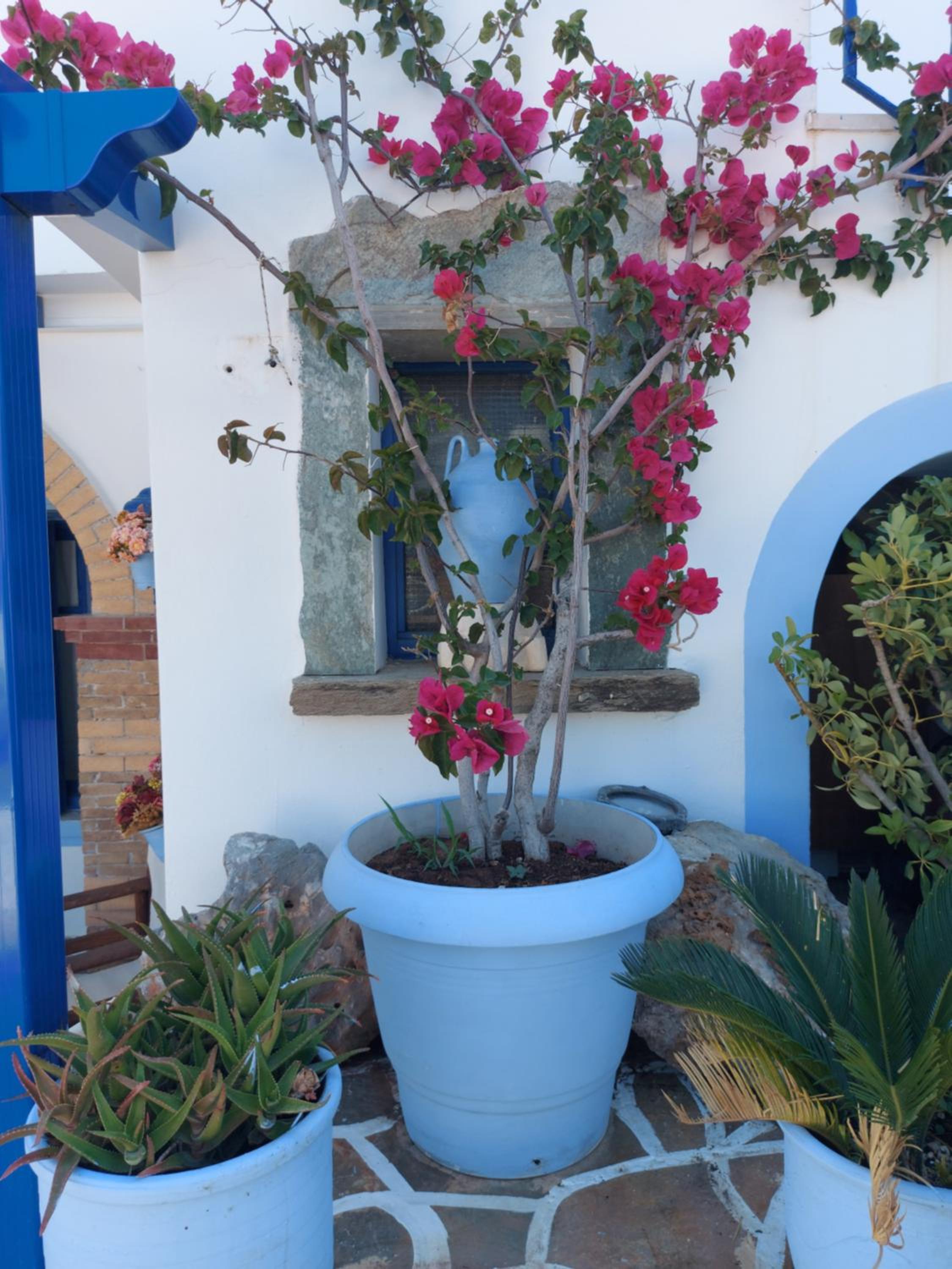 Pelagia Beach Studios