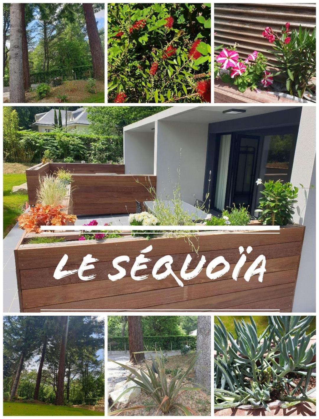 Le séquoia