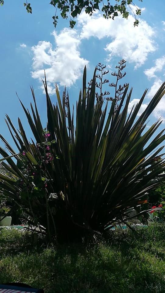 Le Jardin Serein view 3