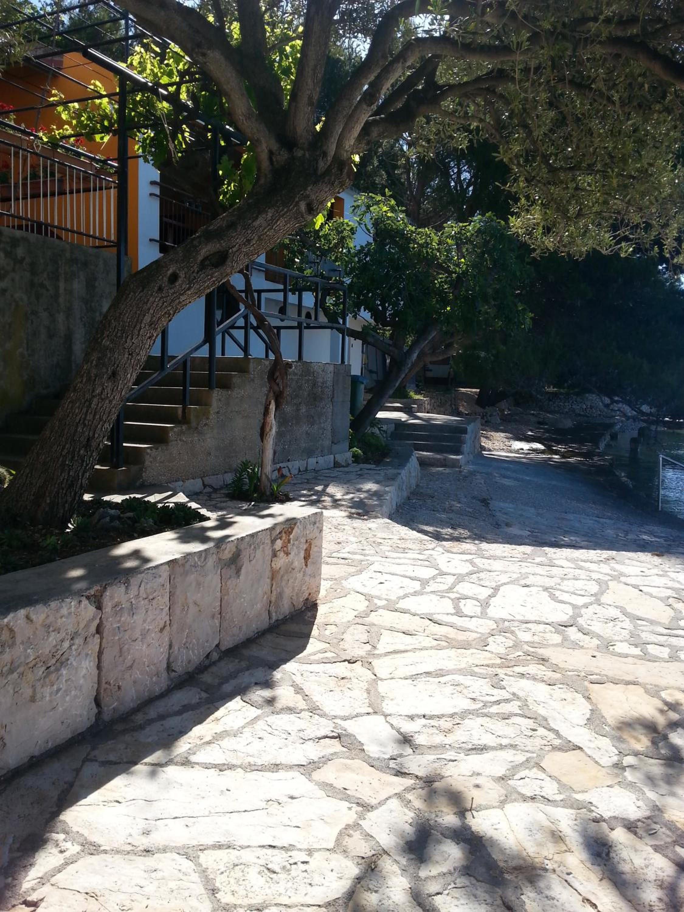 Photo 24